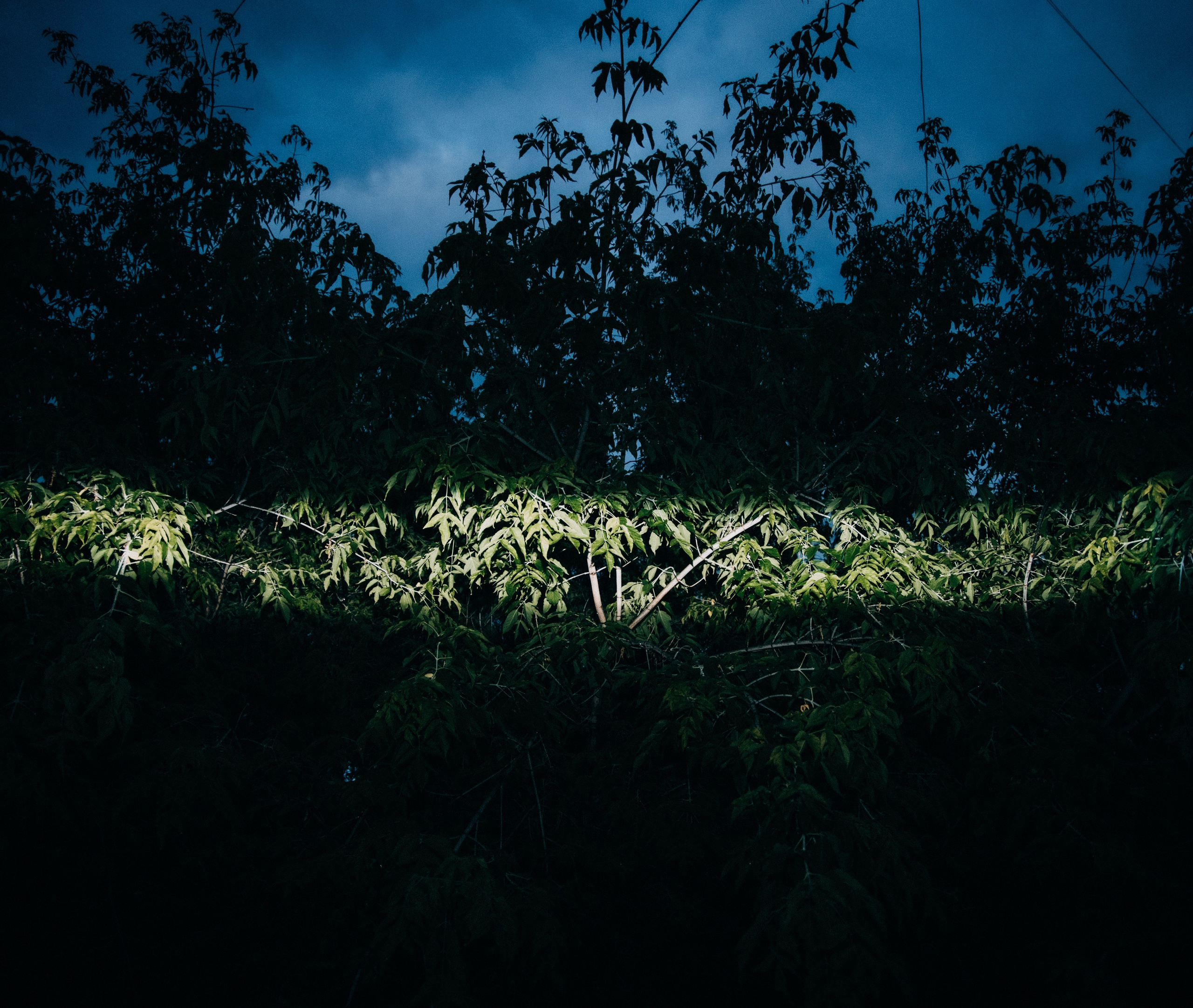 Метафизика. Фотограф Александр Тихонов