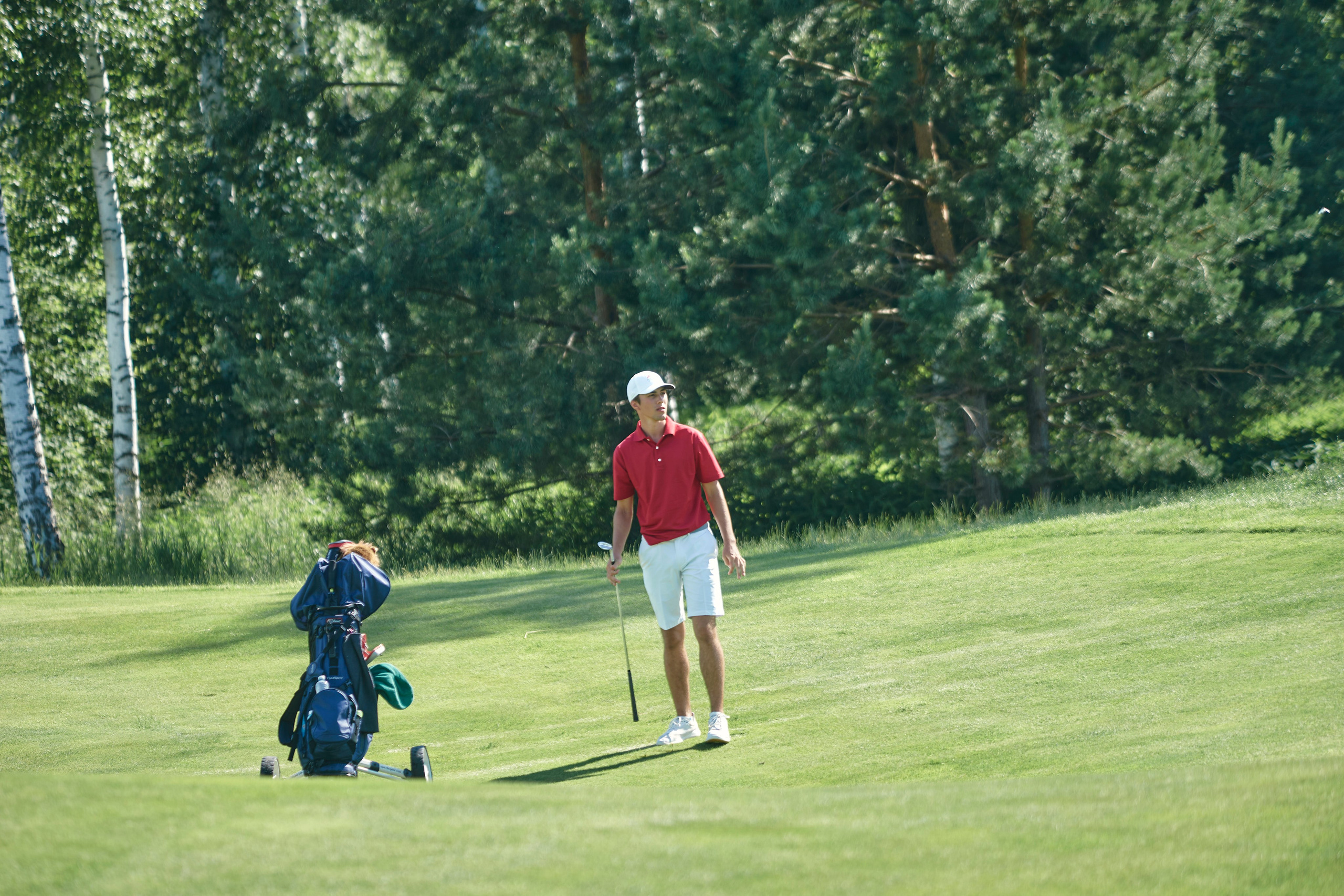 Pine Creek Cup 2024. Академия гольфа NSU в Москве. Тренировки по гольфу для детей и взрослых, тренировки для новичков