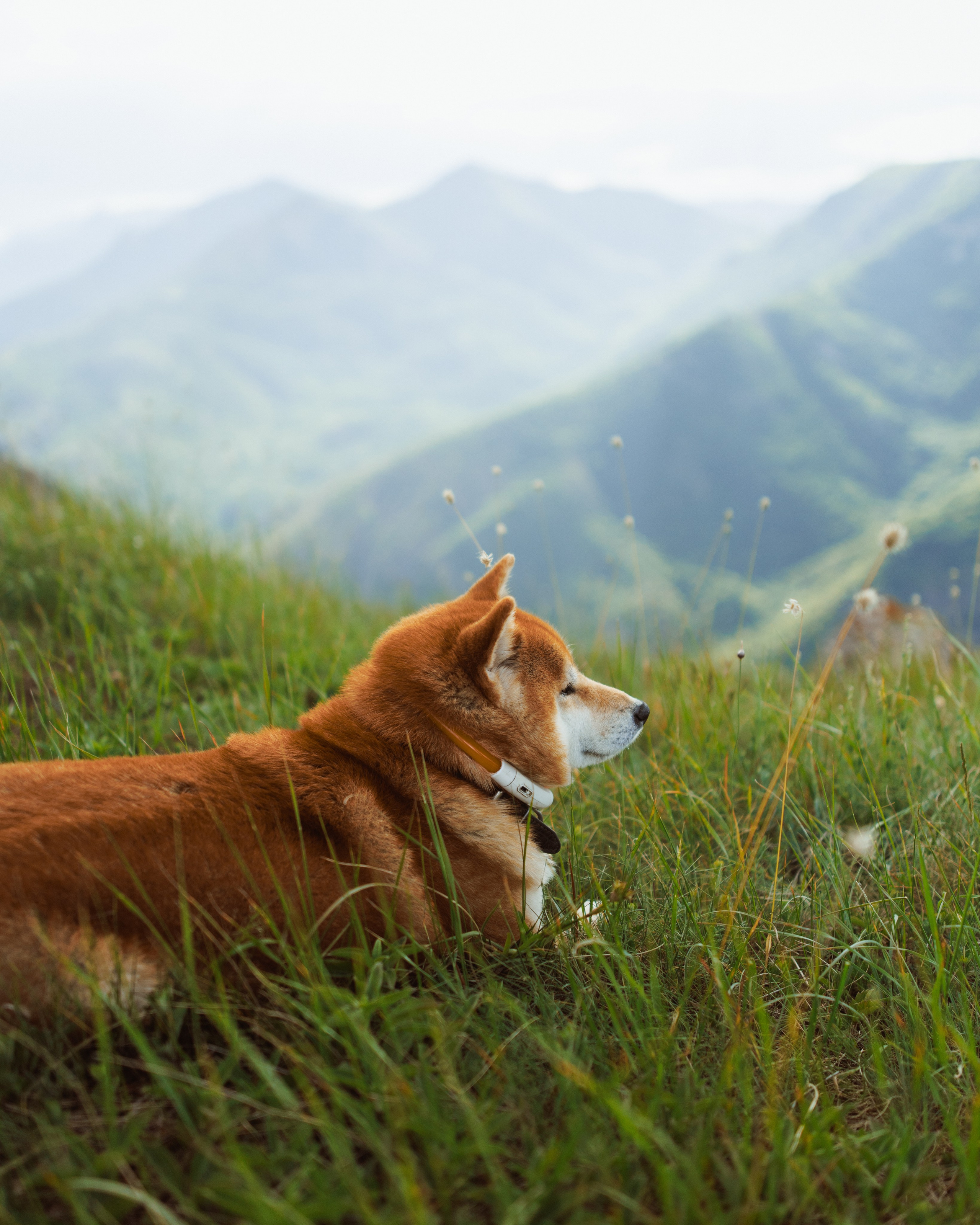 Nature. Артем Корнев Фотограф