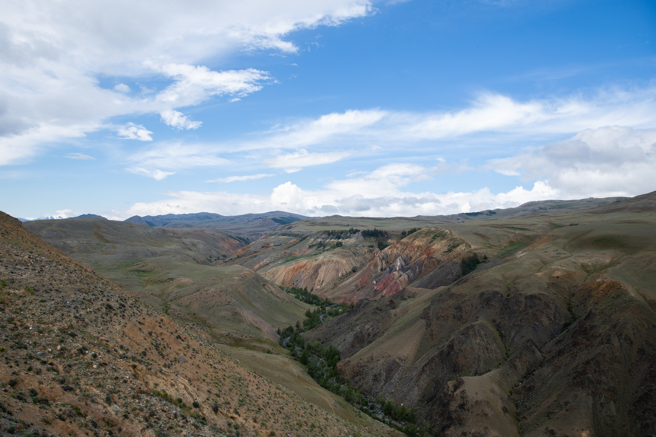 Altai. Yulia Tsyganova