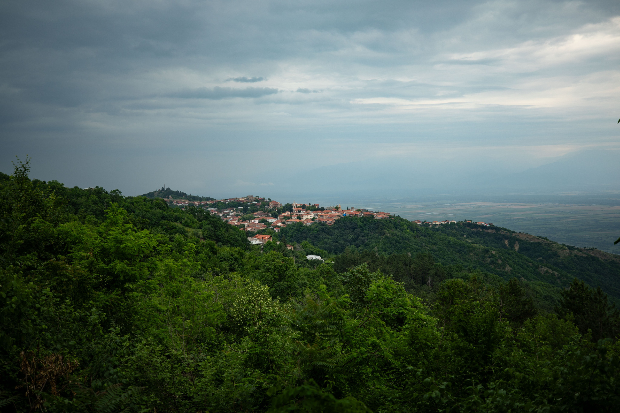 Georgia, 2024. Воройская Анна