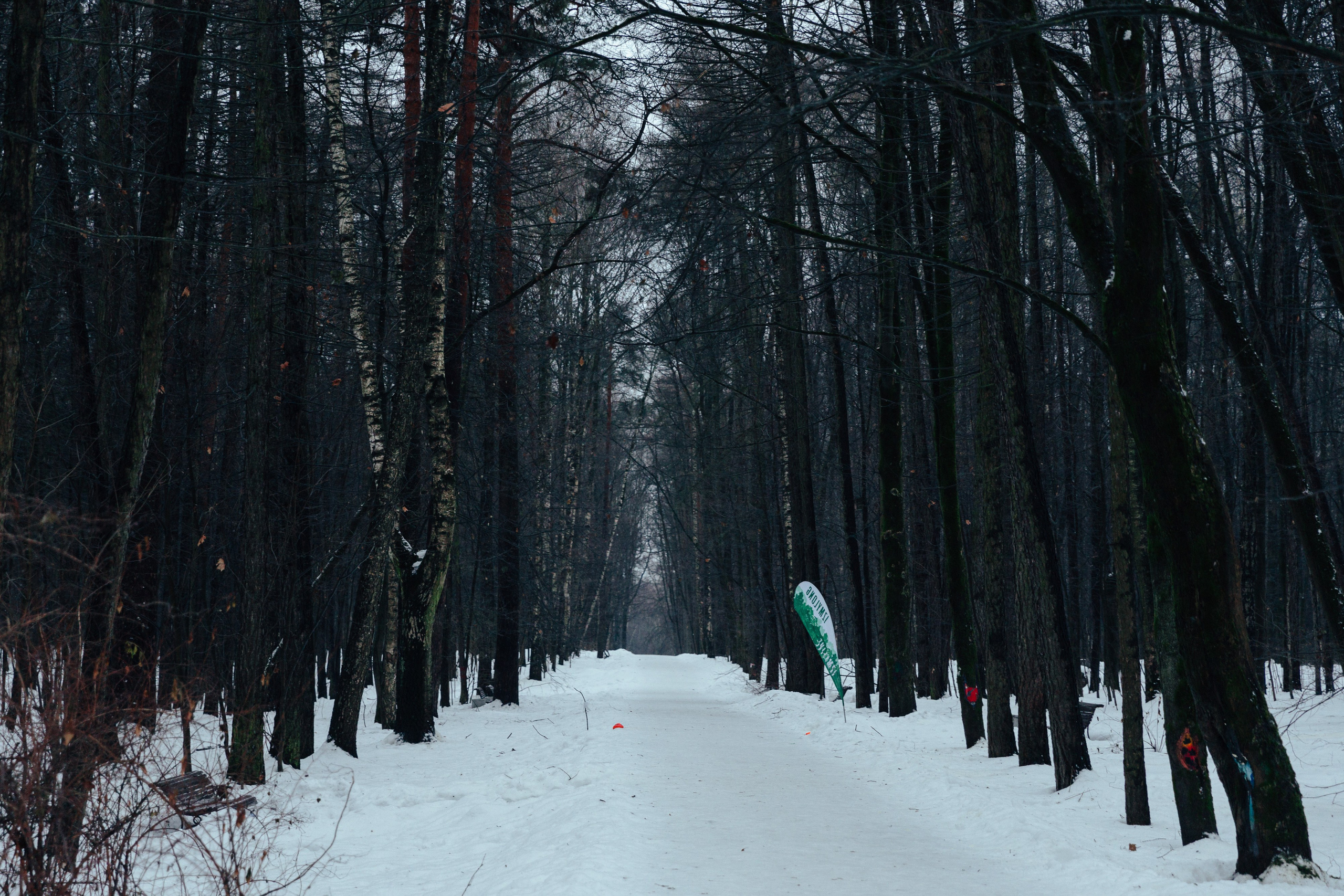 Яркие моменты IzMy5. Портретный и концертный фотограф в Москве Тугарин Александр
