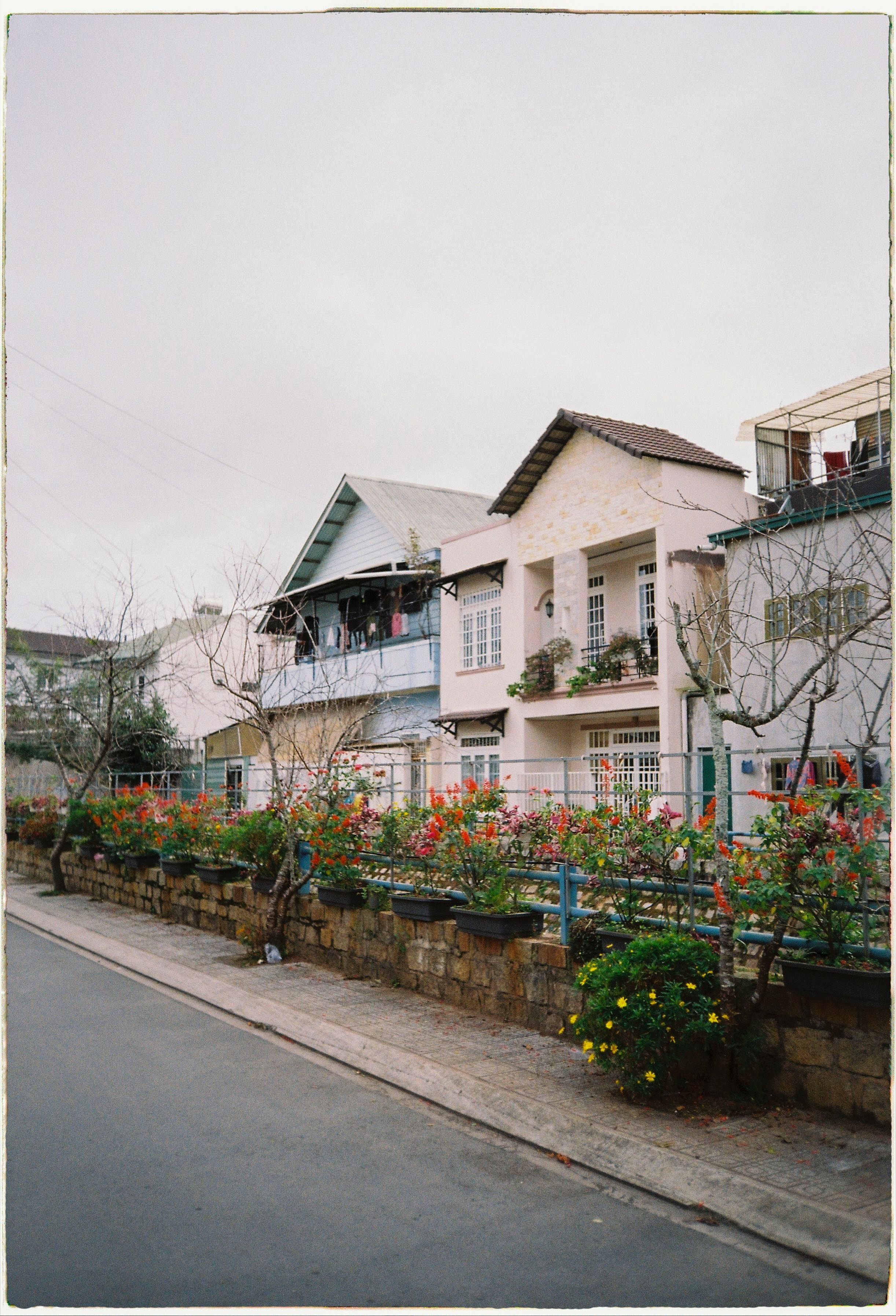 Dalat 2024. Film Photographer in Da Nang, Vietnam — Tanya Parfenteva