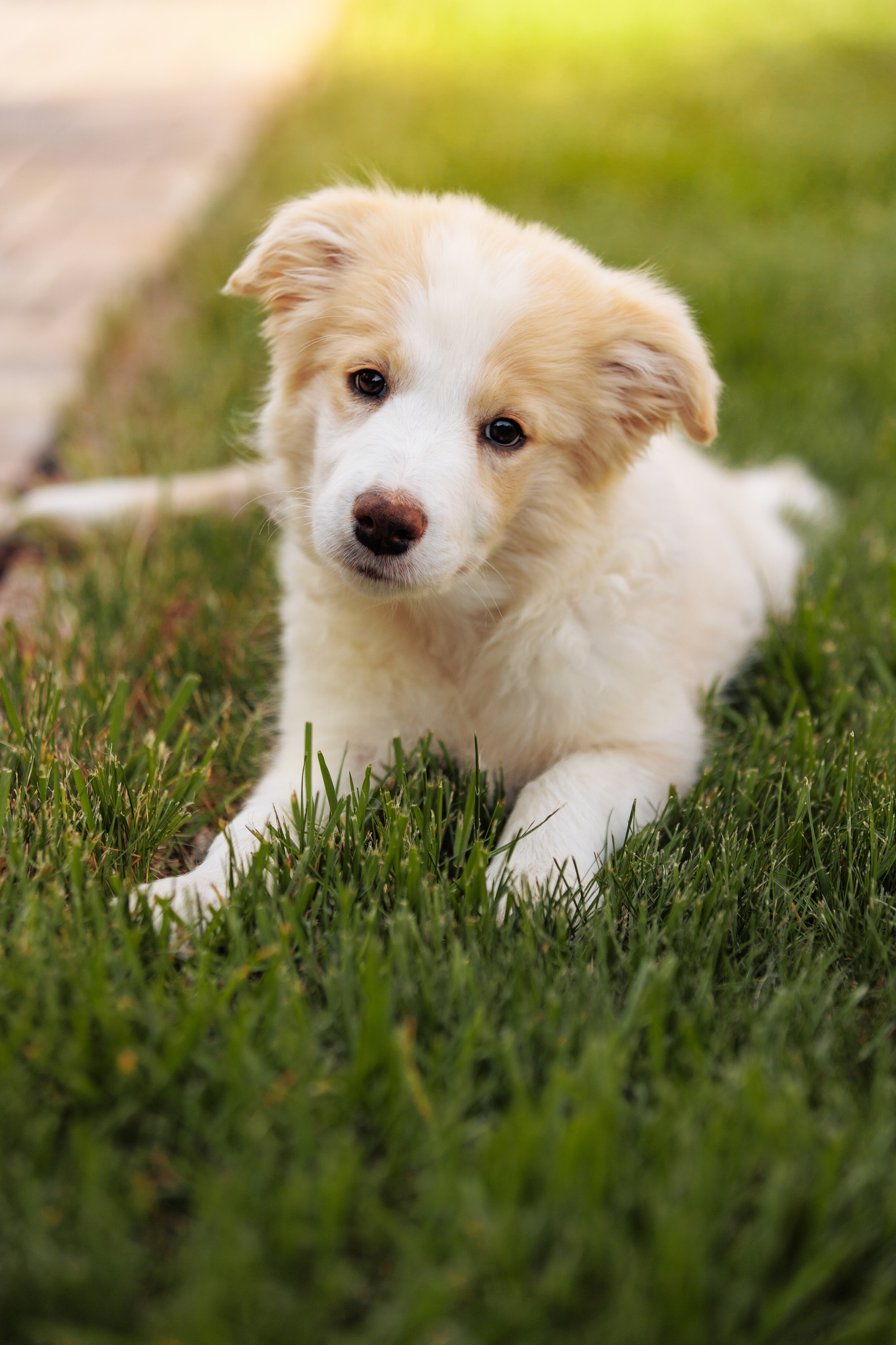 СОлнечные. О нас