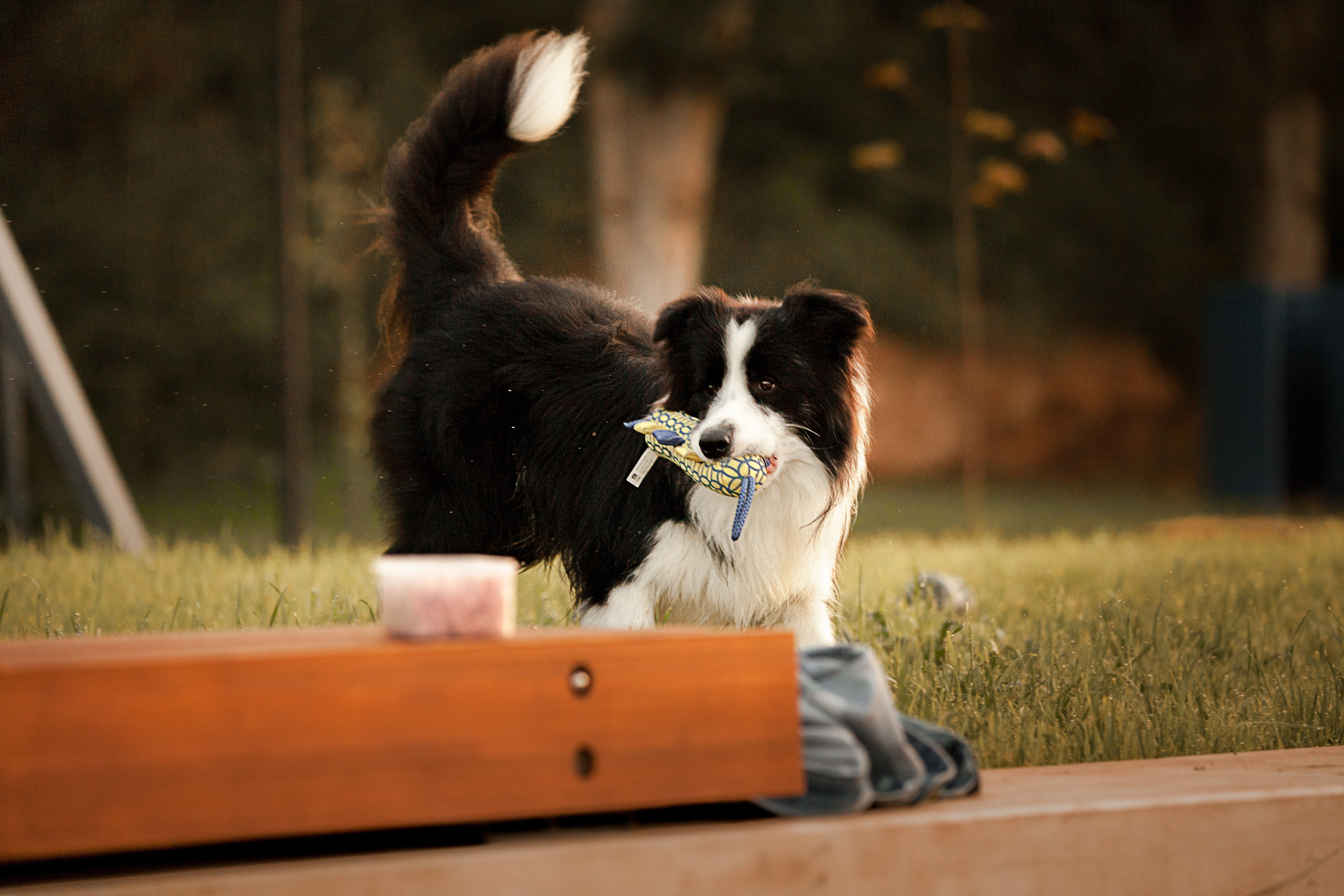 Сочный рассвет, на который решились. О нас