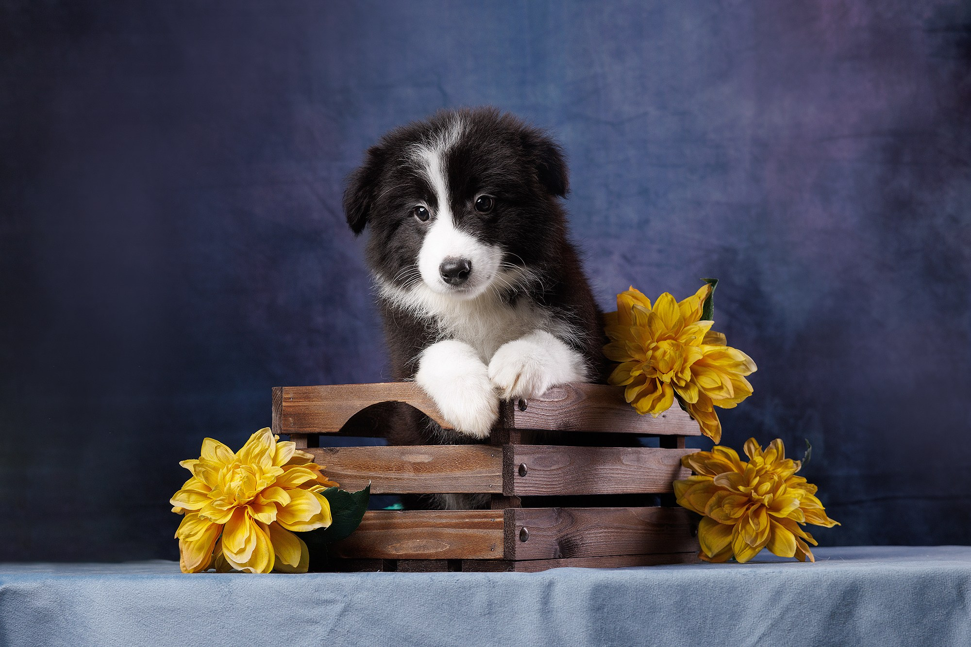 На водной основе. О нас