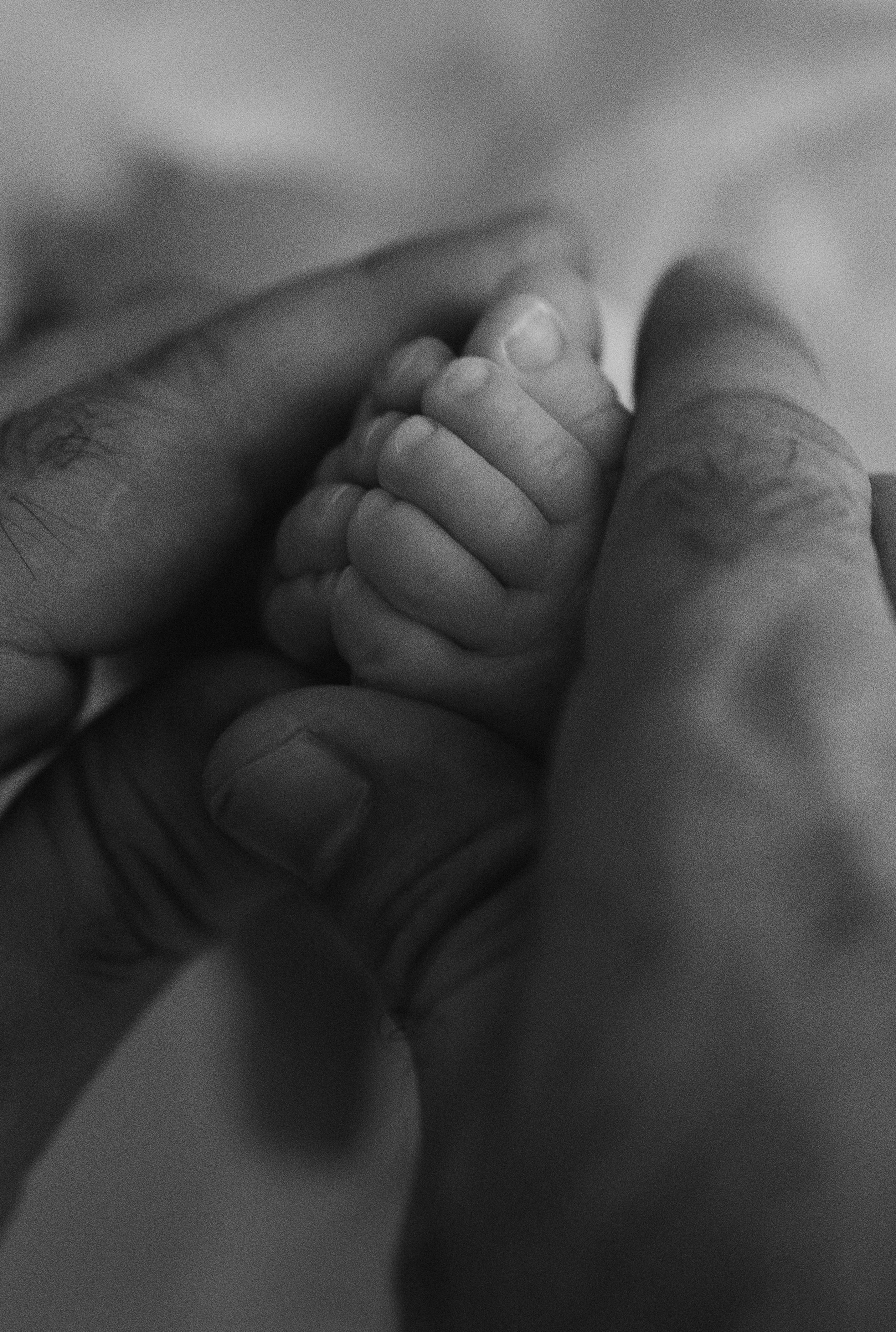 3 месяца Софии. Семейный, ньюборн фотограф, фотограф на роды в Москве, Виктория Тюльдюкова