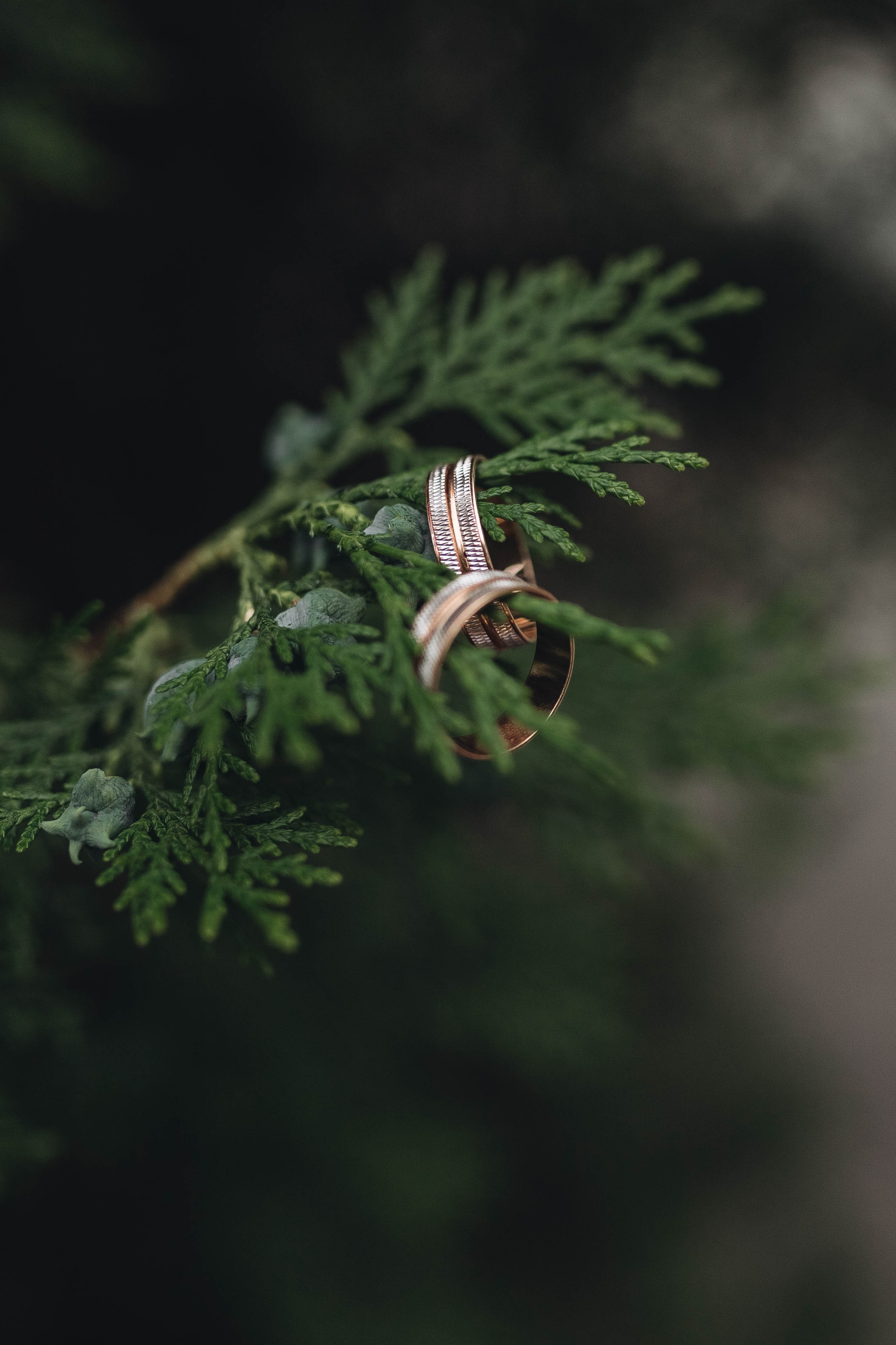 Алина & Илья. Фотограф Сальск Катерина