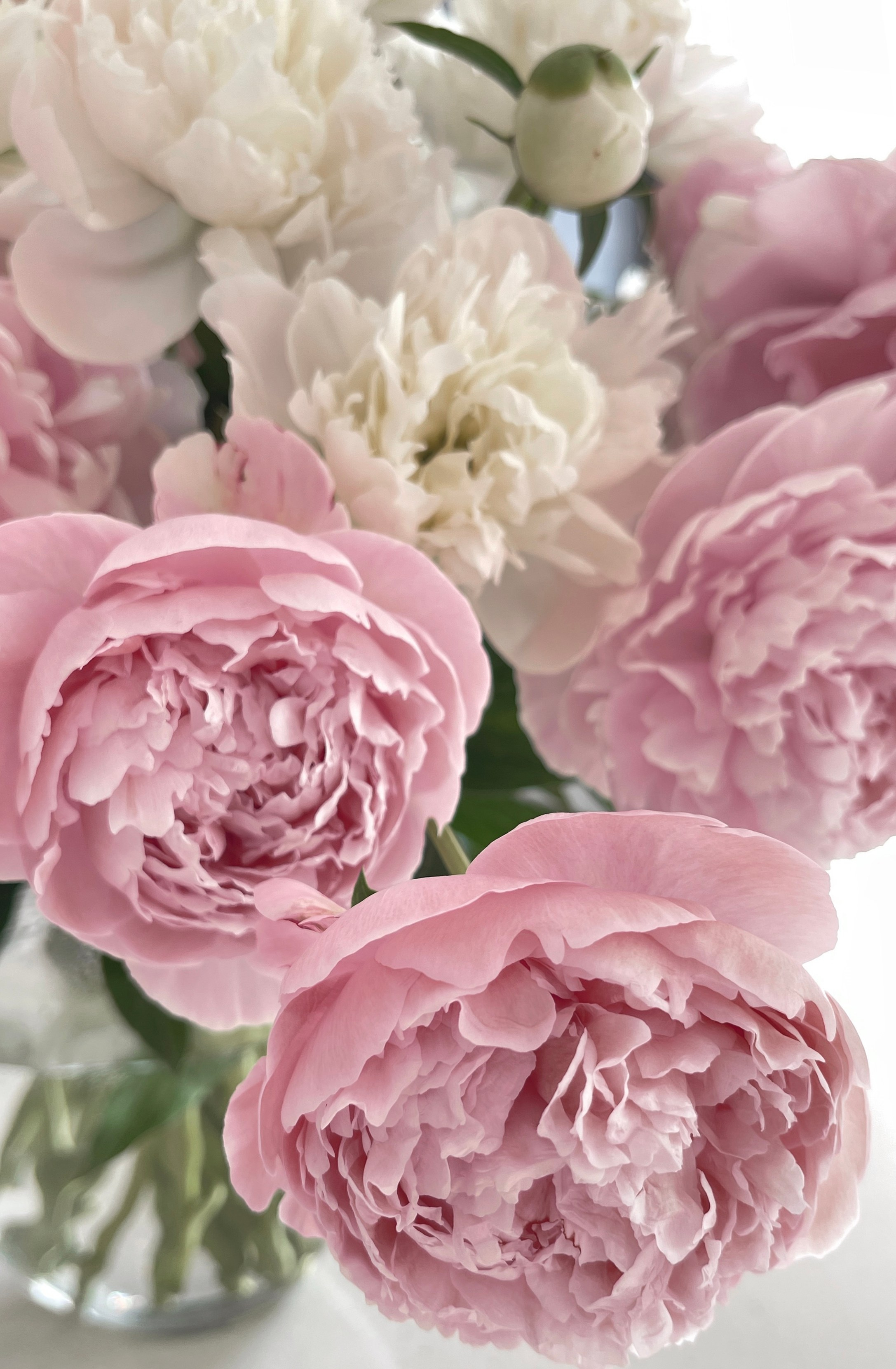Фотопроект PEONY. Бусова Анастасия — фотограф беременности и женского портрета — Томск