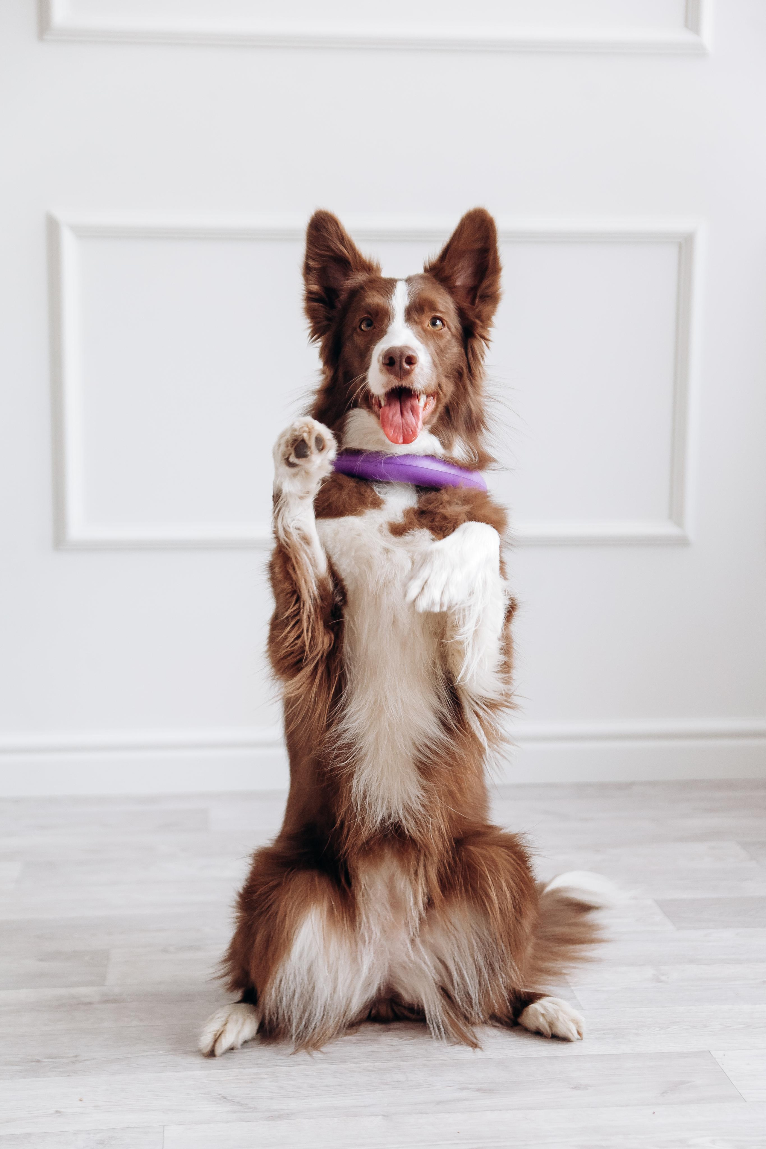 Индивидуальная съемка. Ваш универсальный фотограф Евгения Дунаевская