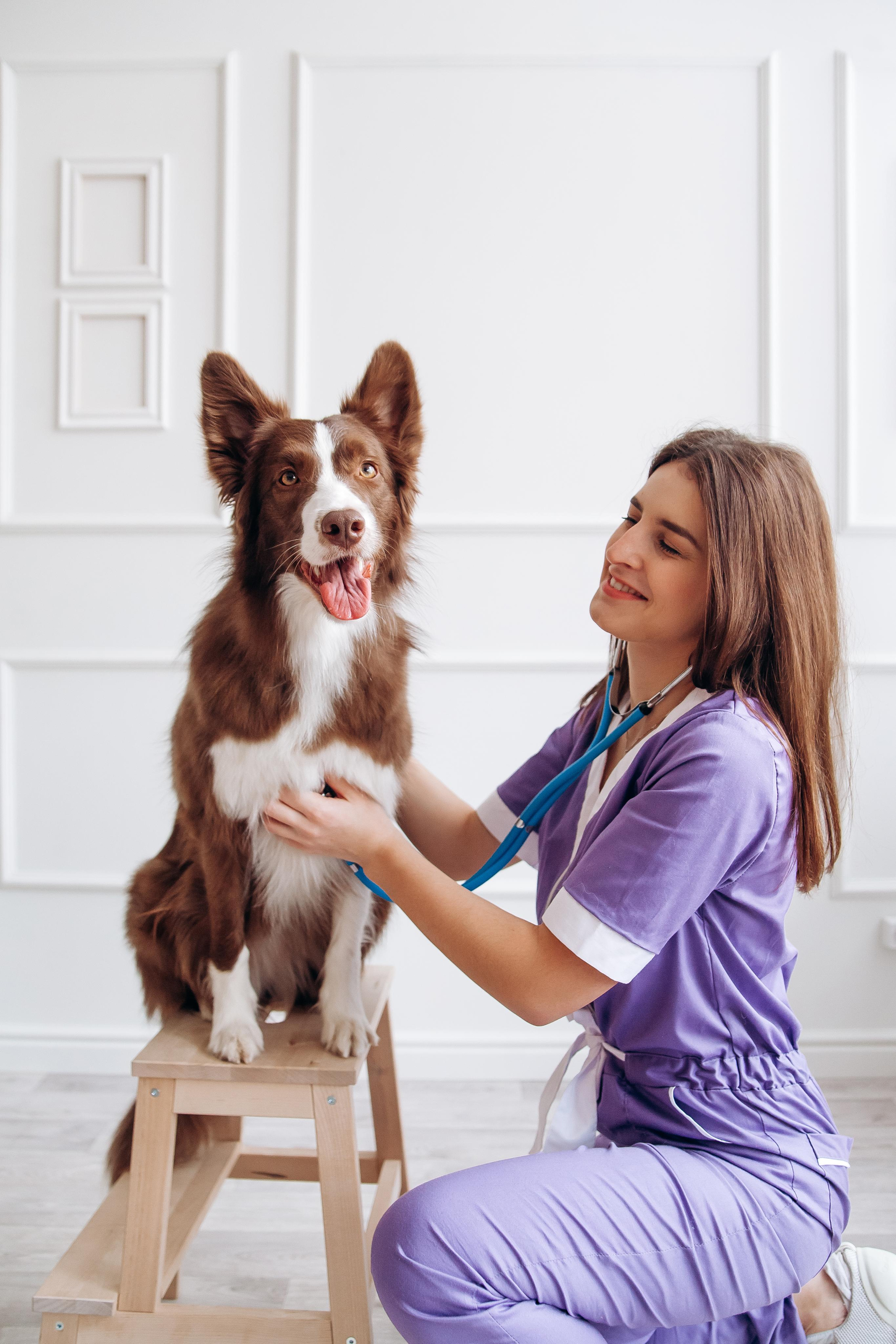 Индивидуальная съемка. Ваш универсальный фотограф Евгения Дунаевская