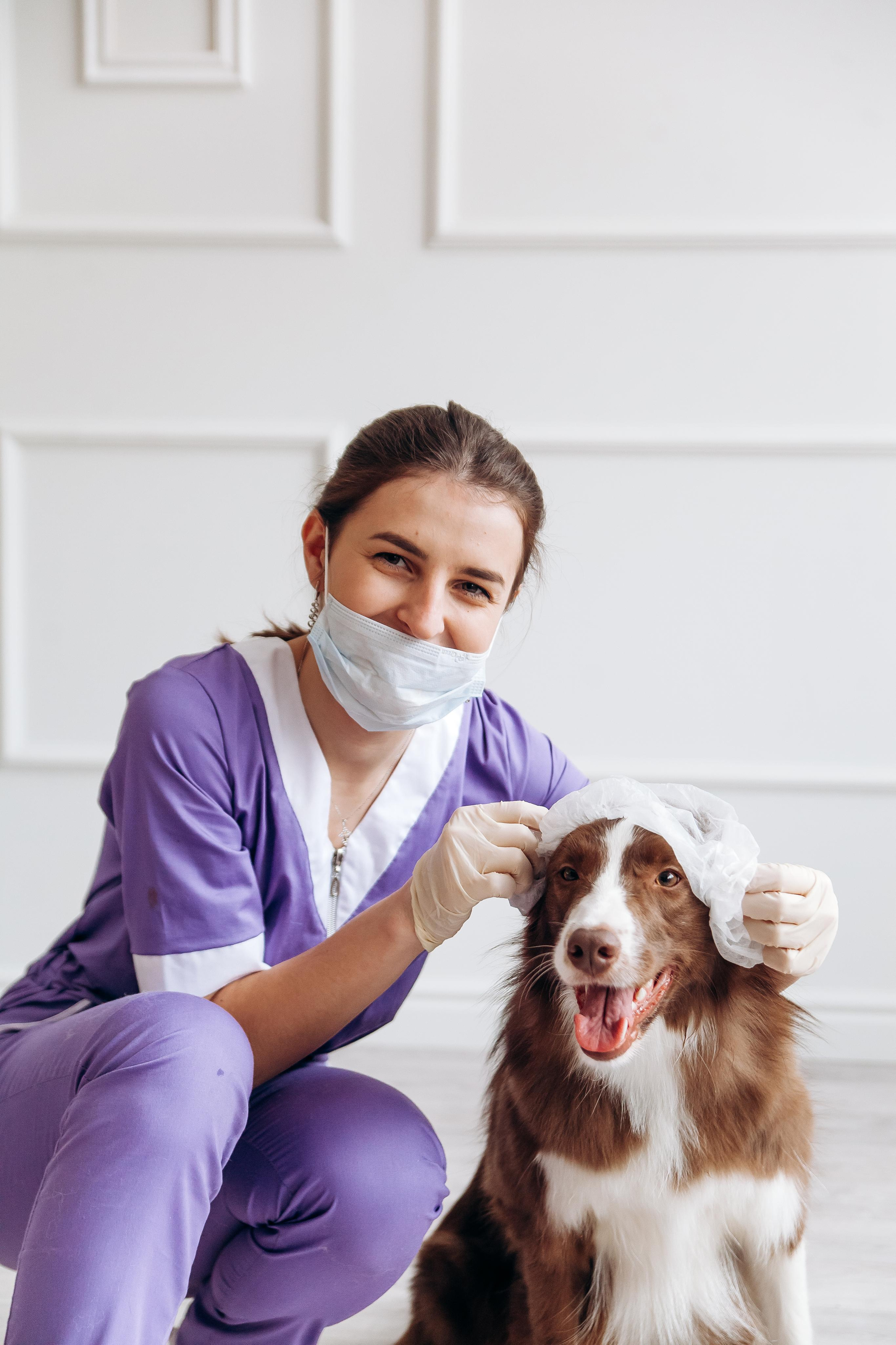 Индивидуальная съемка. Ваш универсальный фотограф Евгения Дунаевская