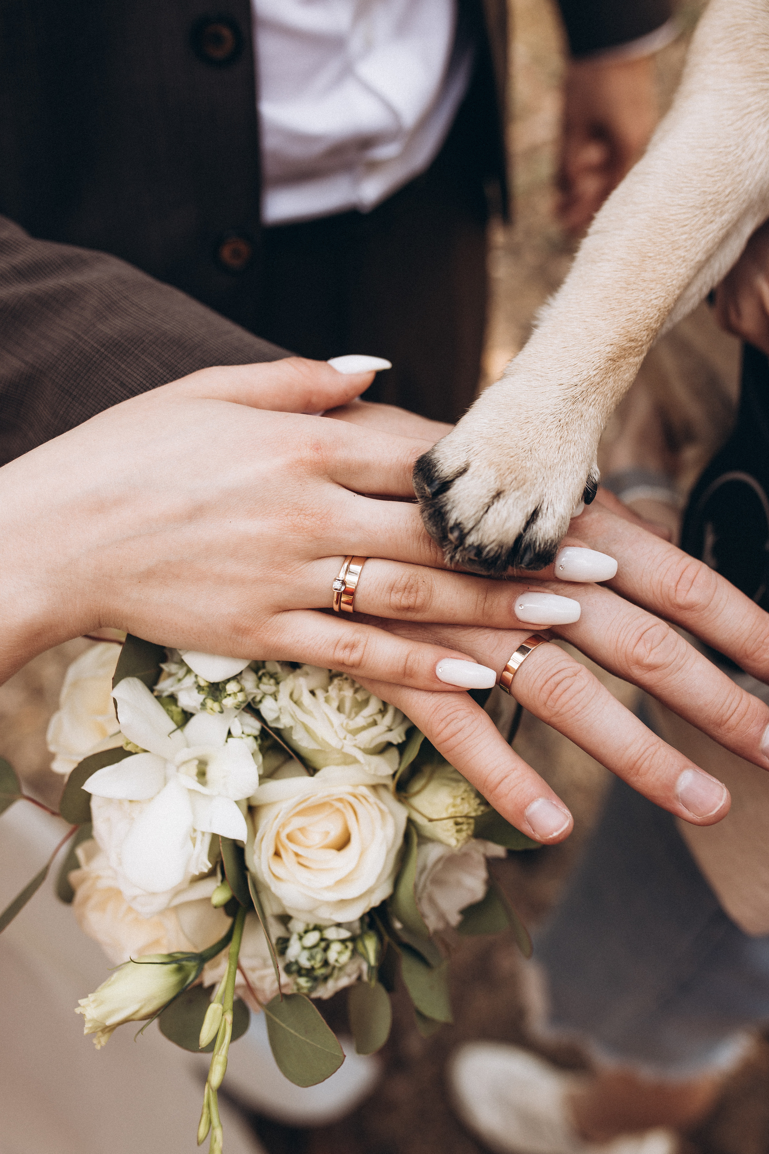 Свадебная фотосессия. Ваш универсальный фотограф Евгения Дунаевская