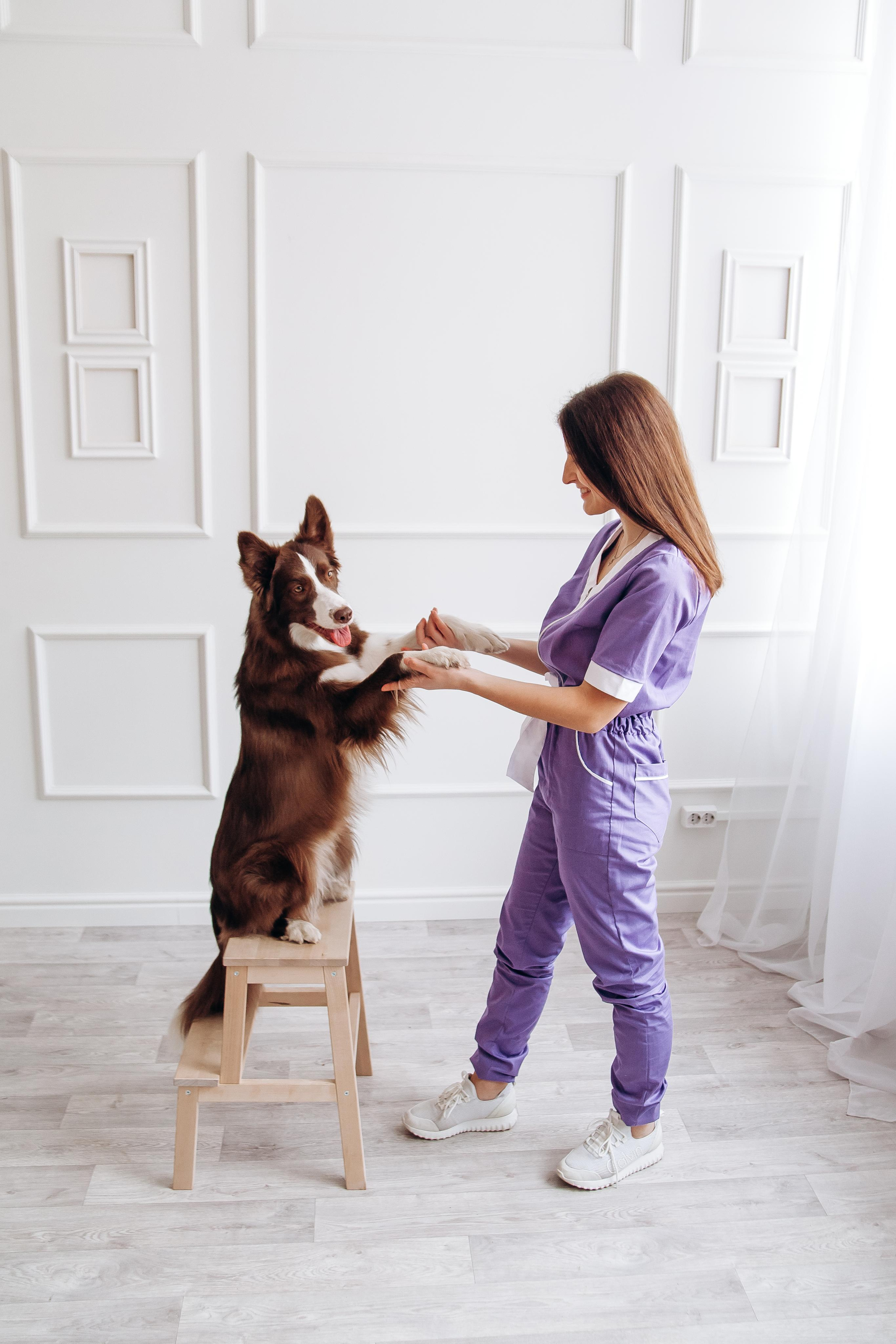 Индивидуальная съемка. Ваш универсальный фотограф Евгения Дунаевская