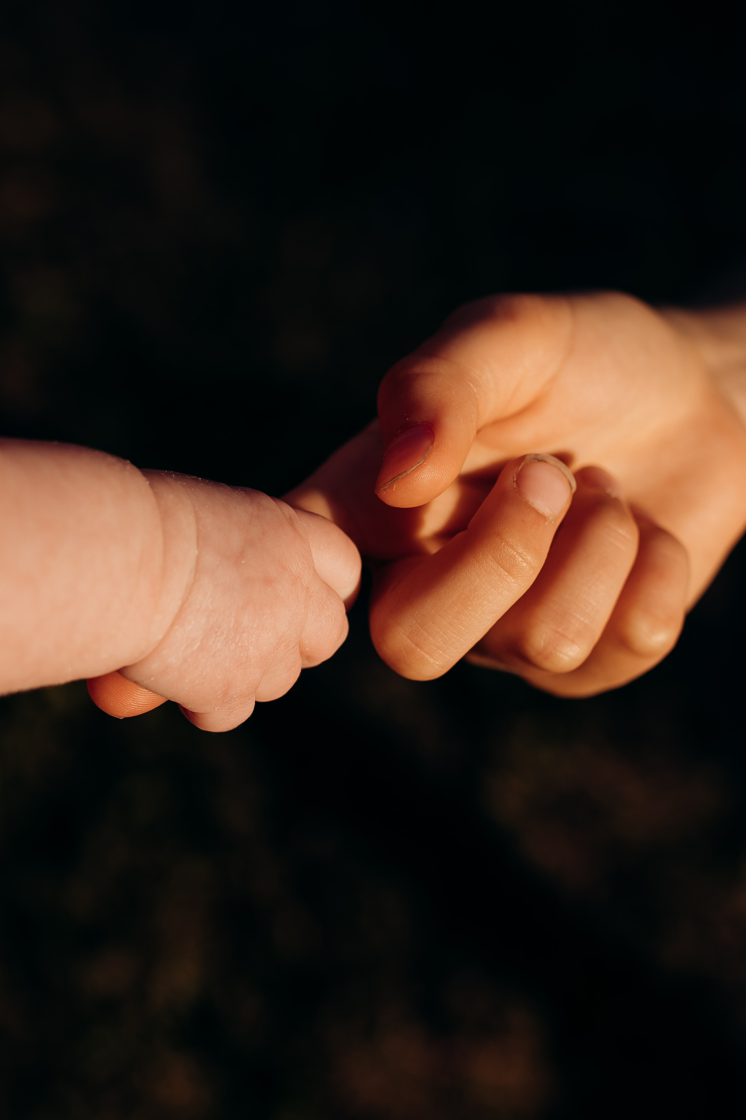 Семейные съемки. Ваш универсальный фотограф Евгения Дунаевская