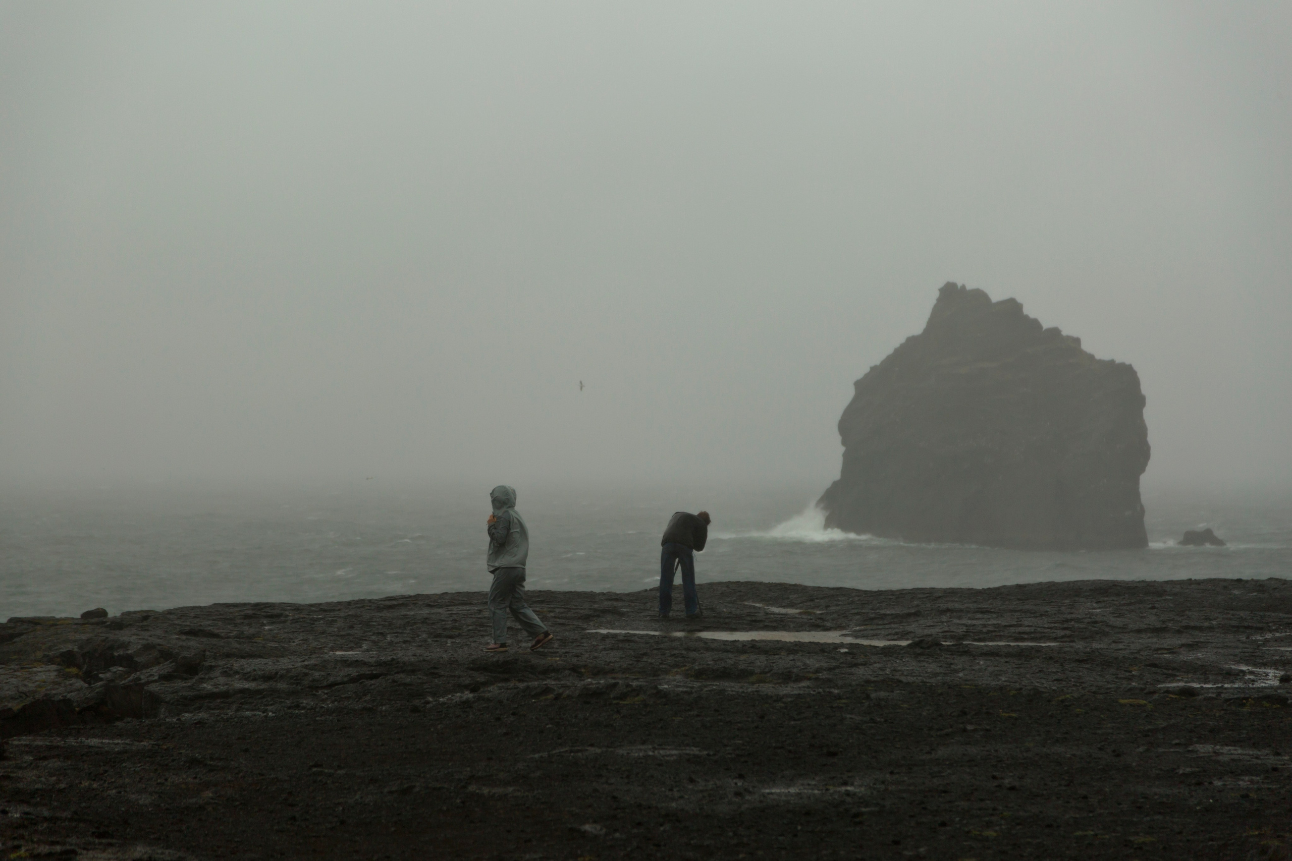 Reportage photography. Photographer Kirill Sergeev | Moscow