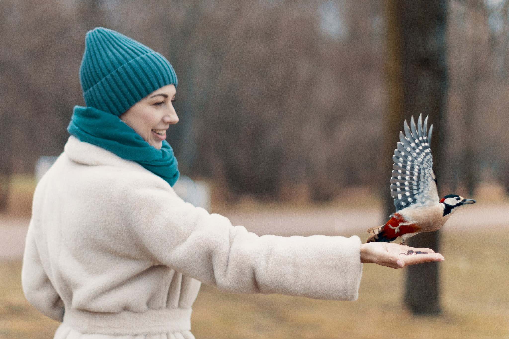 Екатерининский Парк (Царское Село). Фотограф Валерий Сабрам
