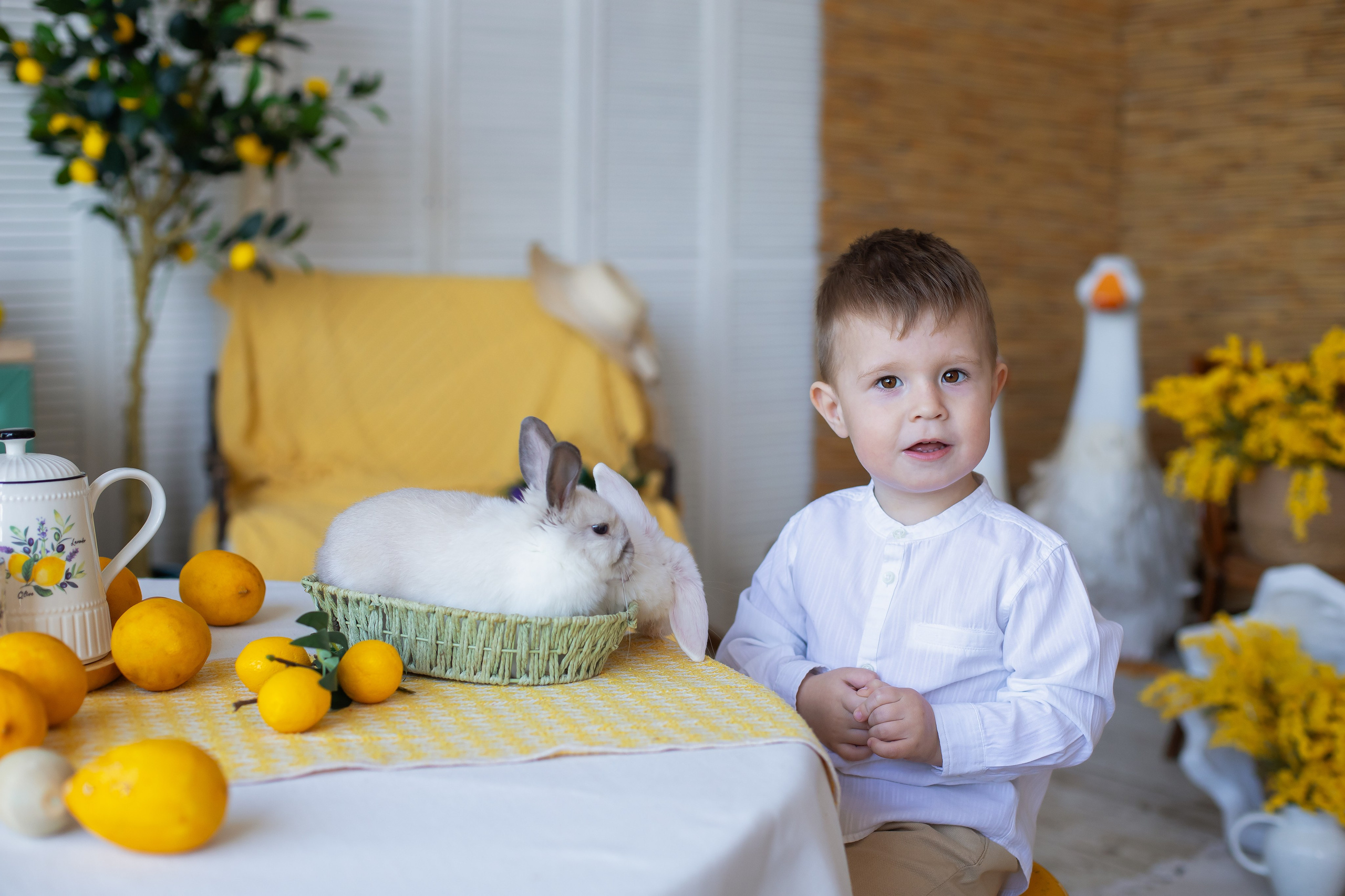 Алена и семья. Семейный и детский фотограф в Москве Наталья Арутюнова