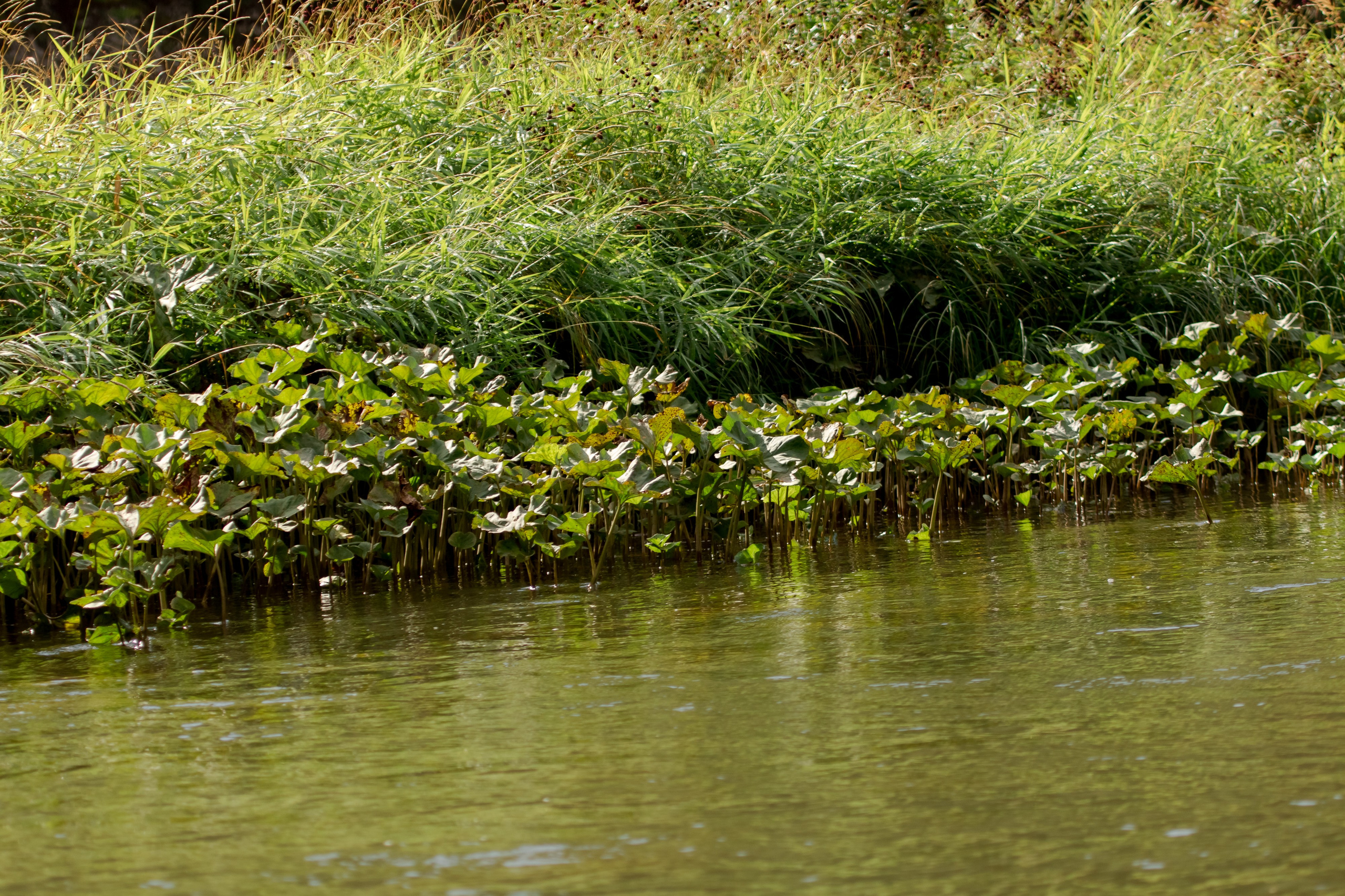 Фототур Кия. Фотограф Кирилл Мешков Кемерово