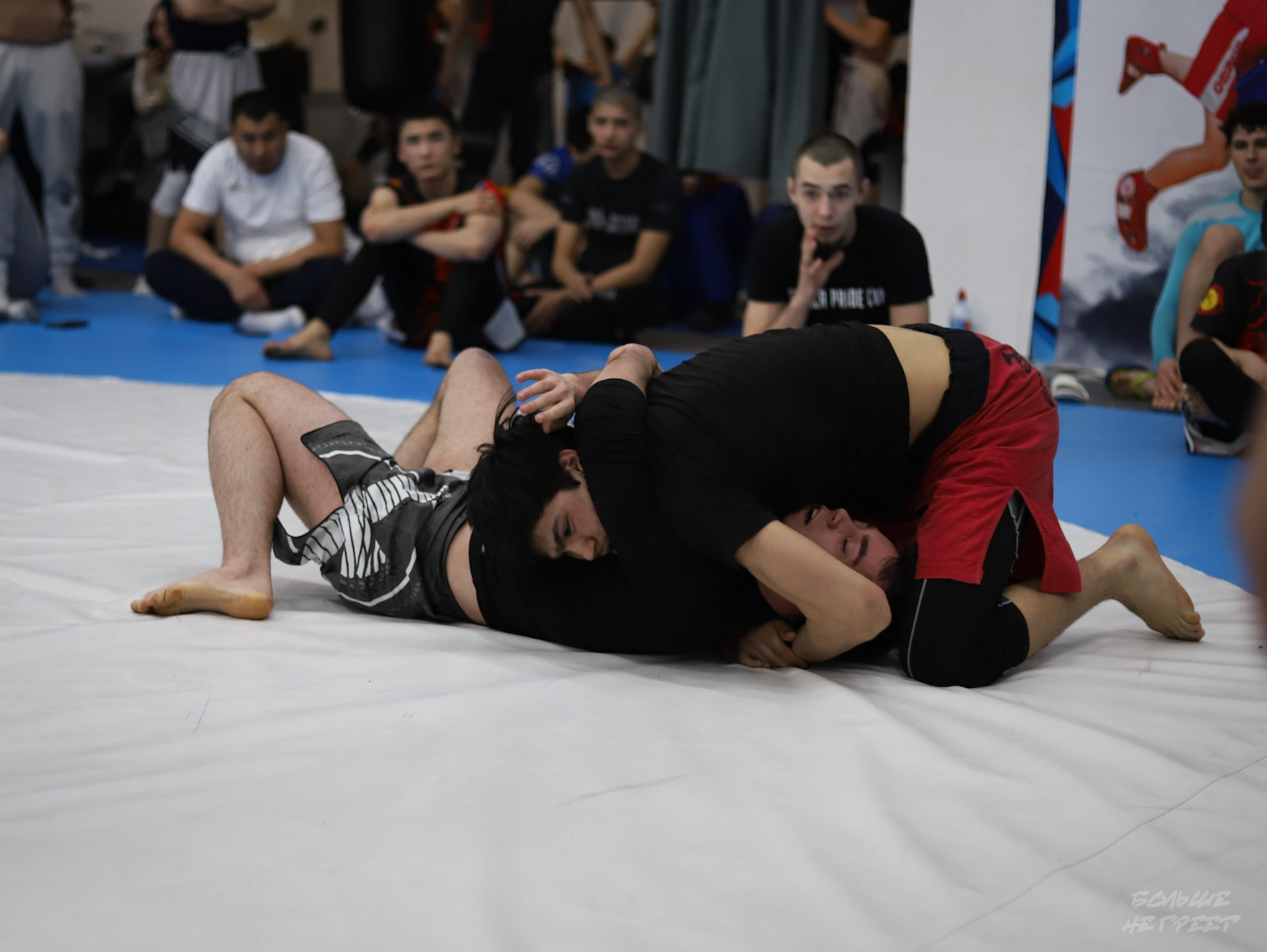 GORILLA PRIDE CUP. Больше не греет