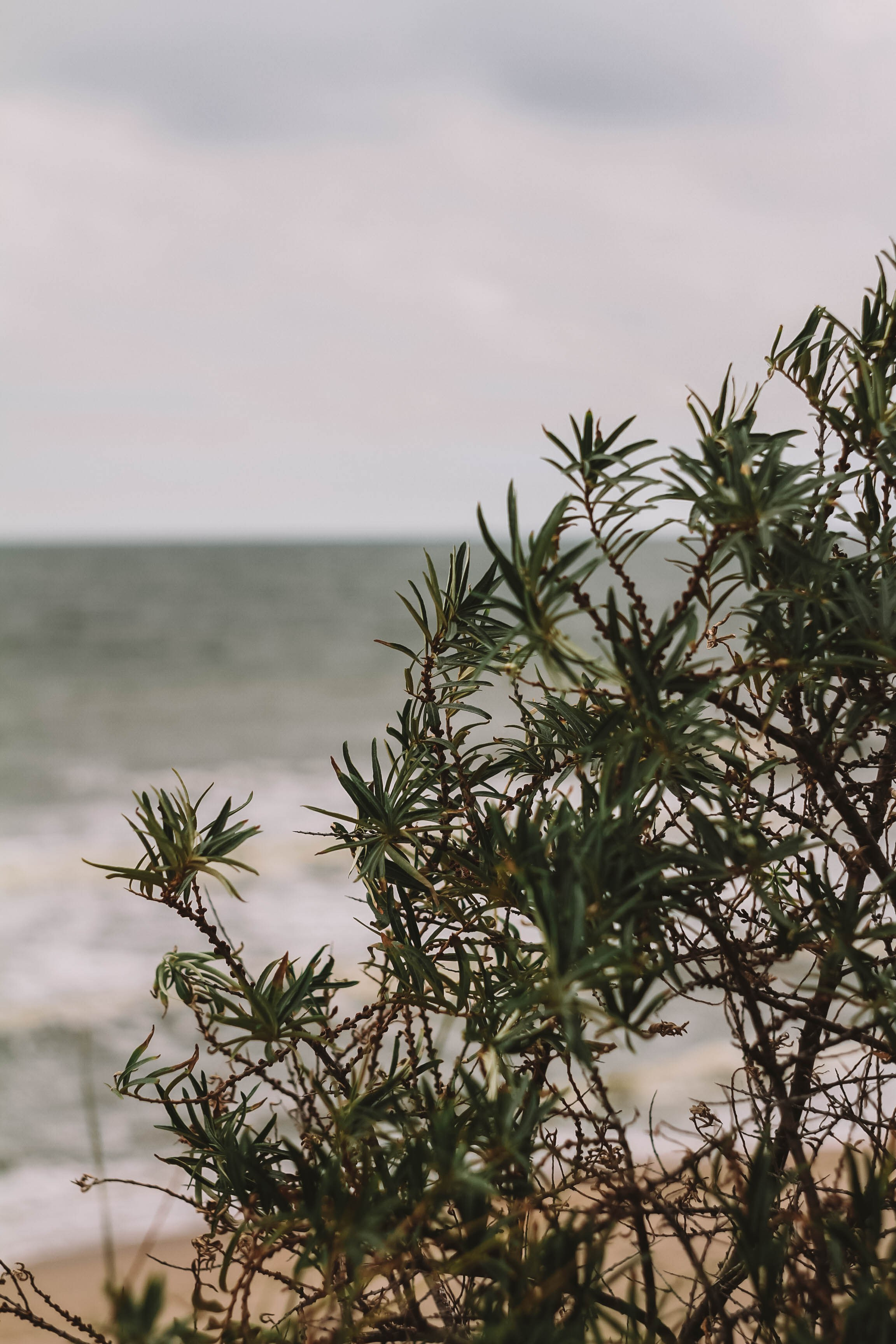 Калининград