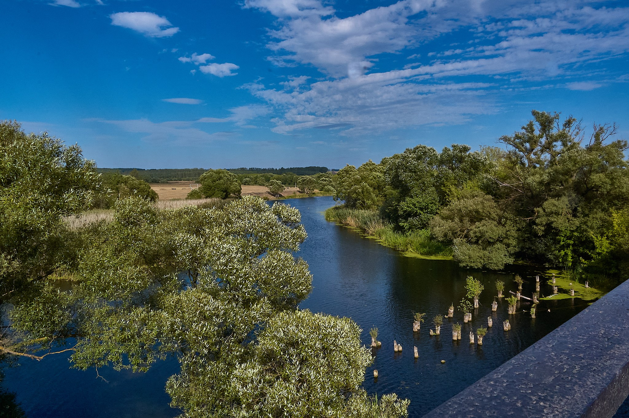 Искусство пейзажа: гармония природы в фотографиях. Координаты красоты — география в фокусе