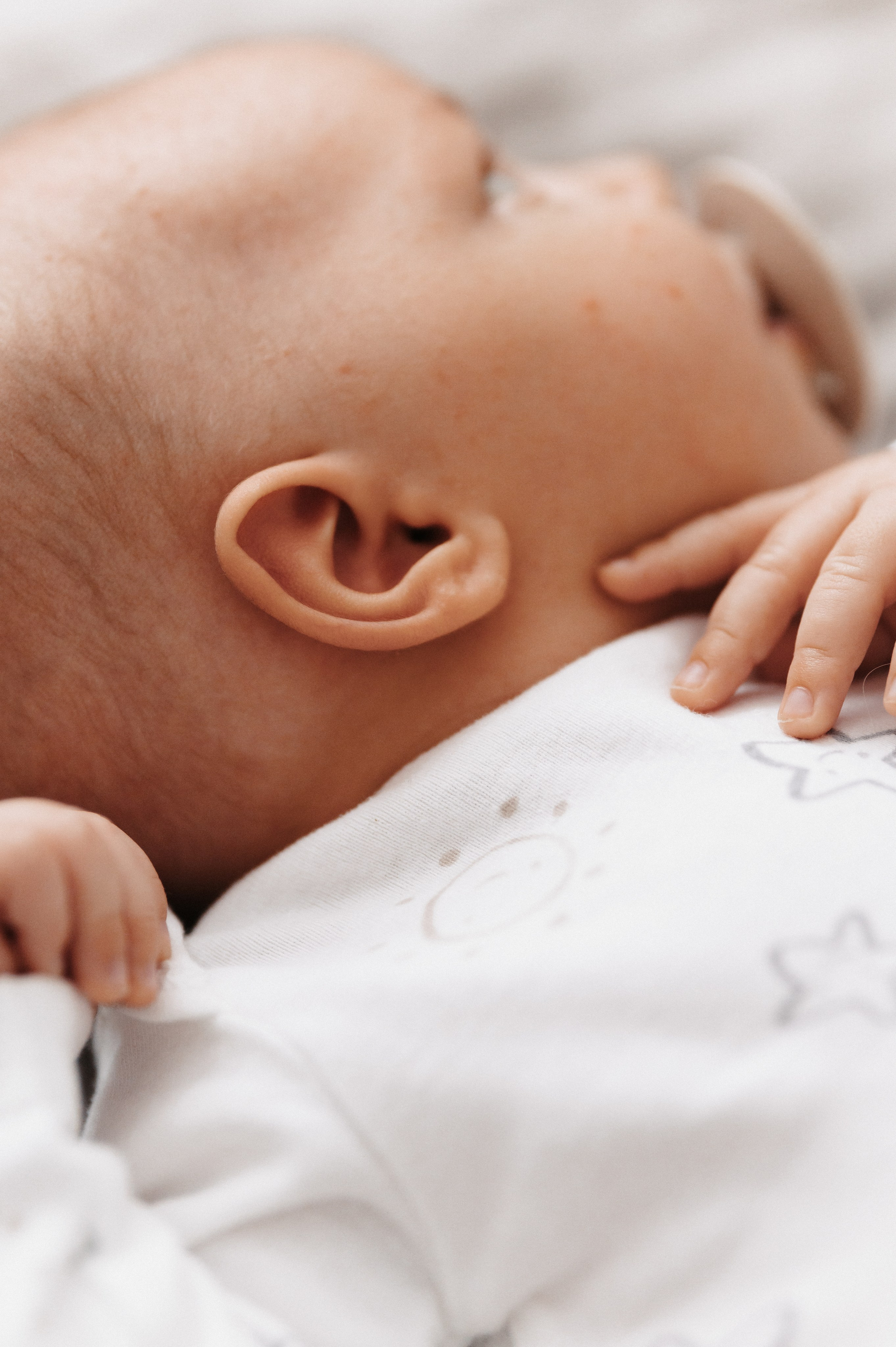 Лев. Свадебный и семейный фотограф в Пензе