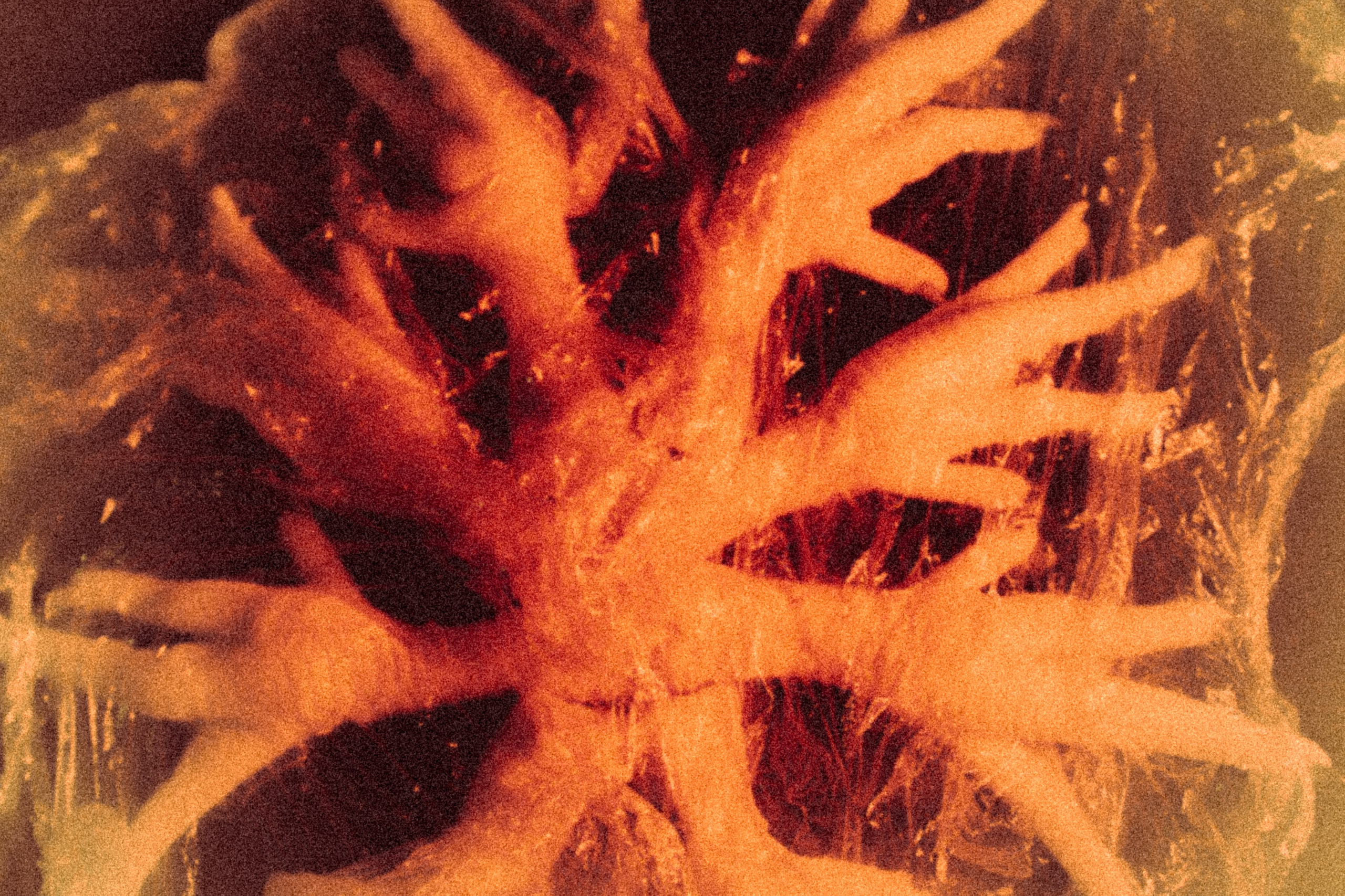 The Broken Snowflake. Polypolarphotography