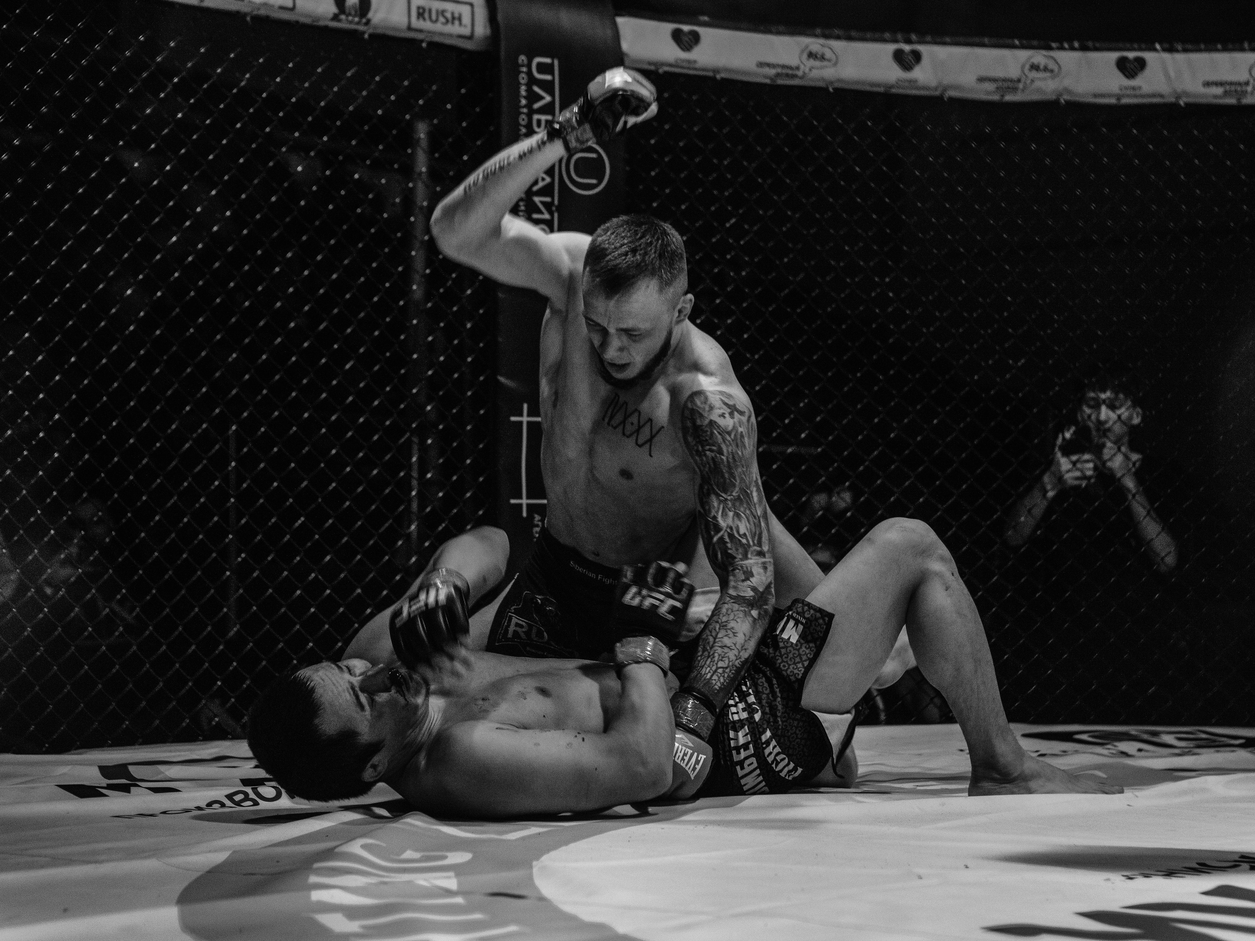 SFL 17 | Siberian Fighting League. Портретный фотограф в Москве Дарья Цезария