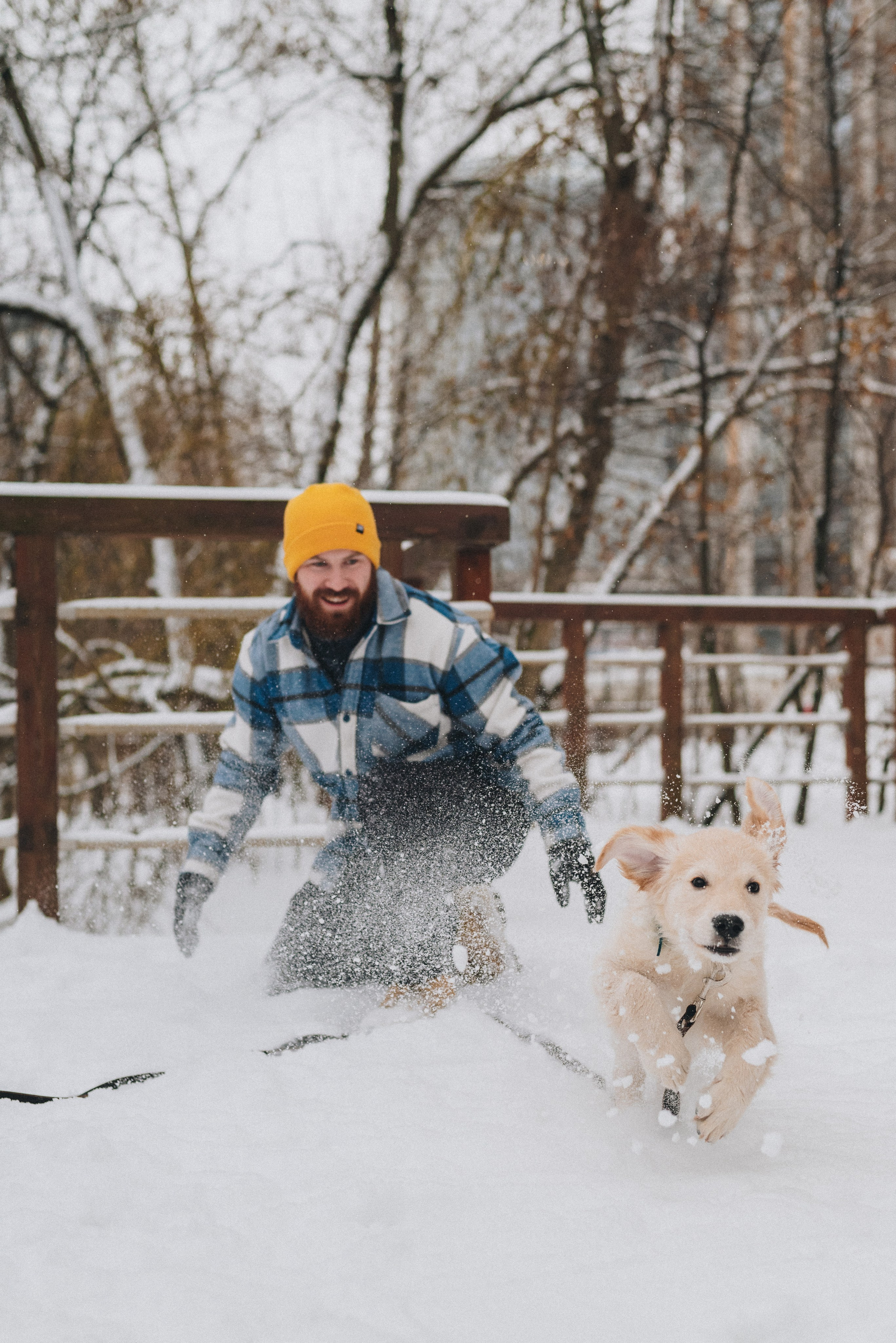 Sonia, Denis & Baggi. Natalia Finch Photography — Family, Kids & Pet Photographer in Chicago, IL
