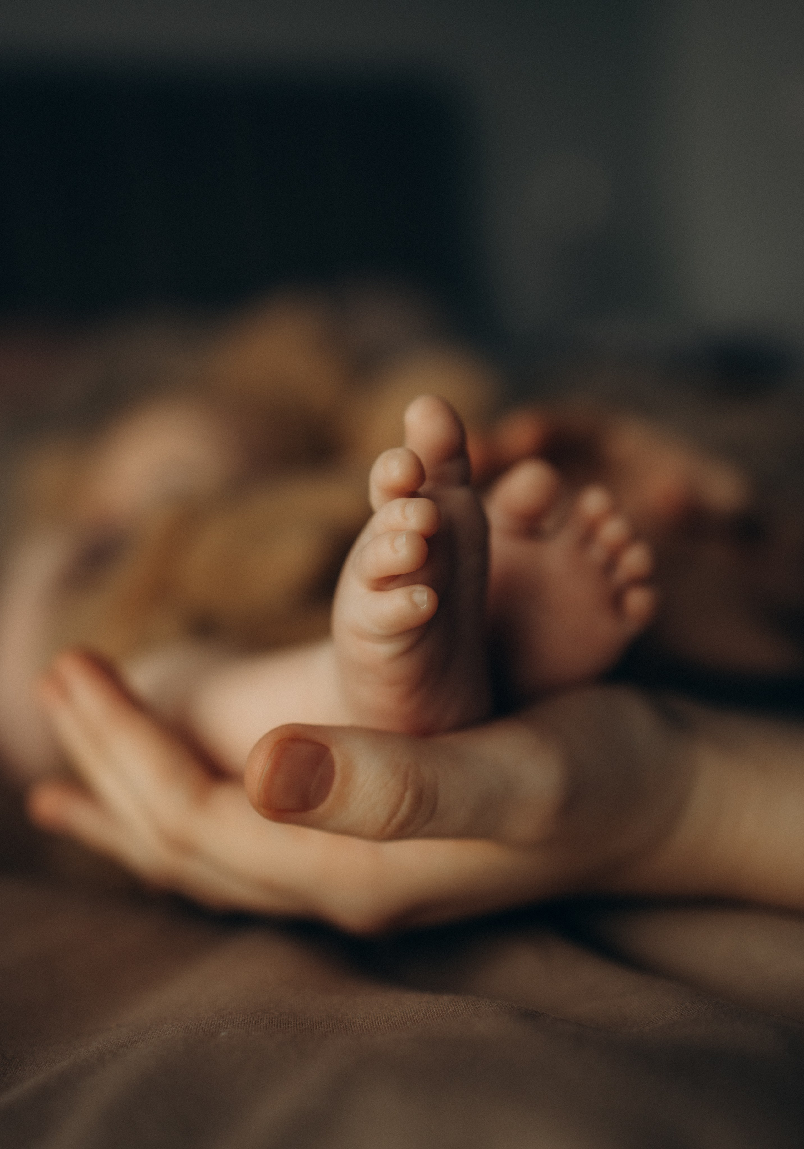 Новорожденные. Семейный и детский фотограф в Москве Антонина Смирнова