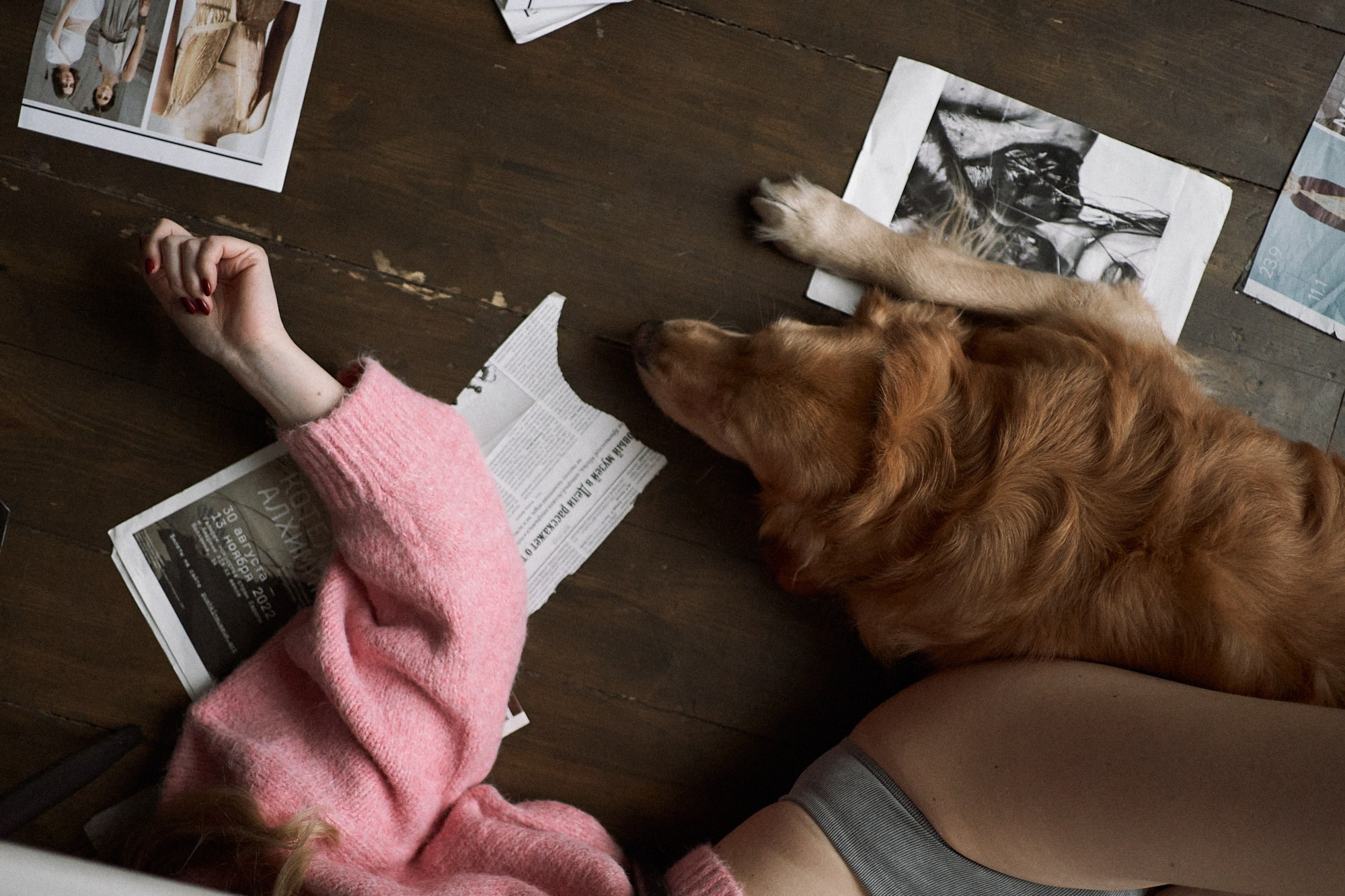 Алия и Пенни. Фотограф анималист Москва Дарья