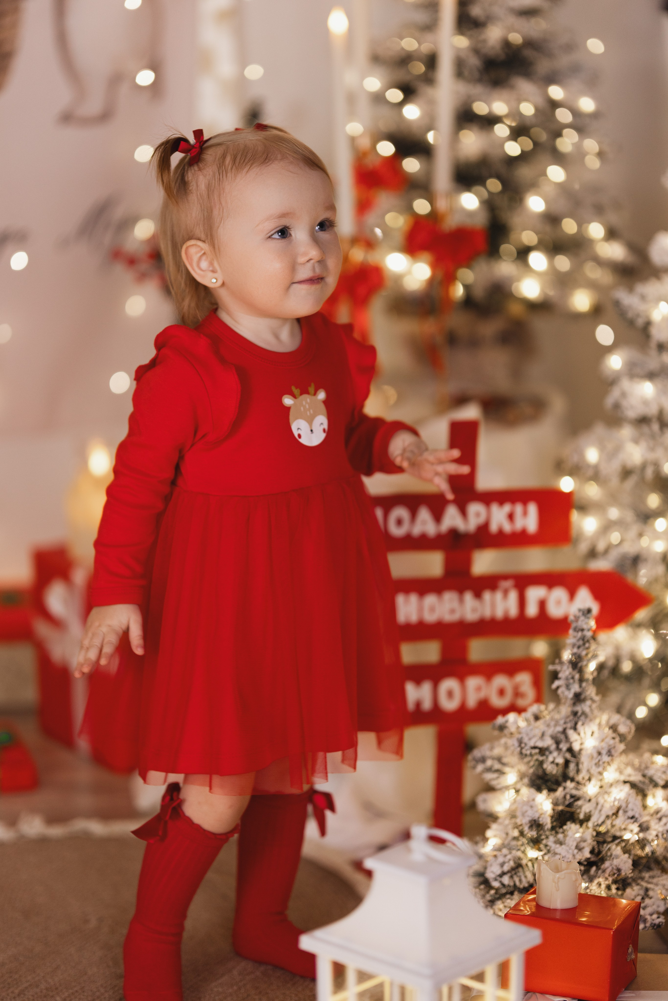 Новый год. Семейный и детский фотограф г. Абакан Яна Франц