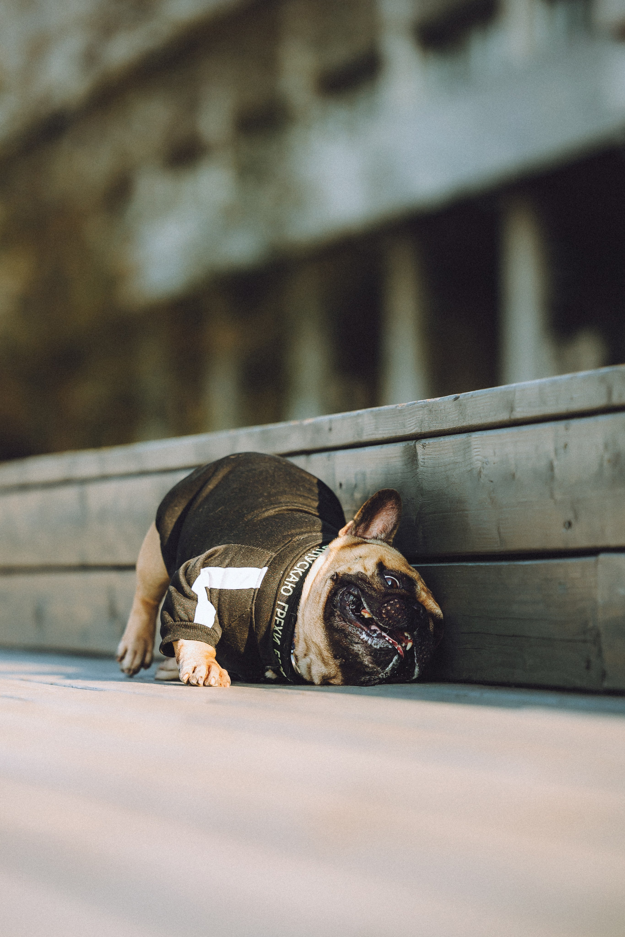 Настя, Женя и Хонор