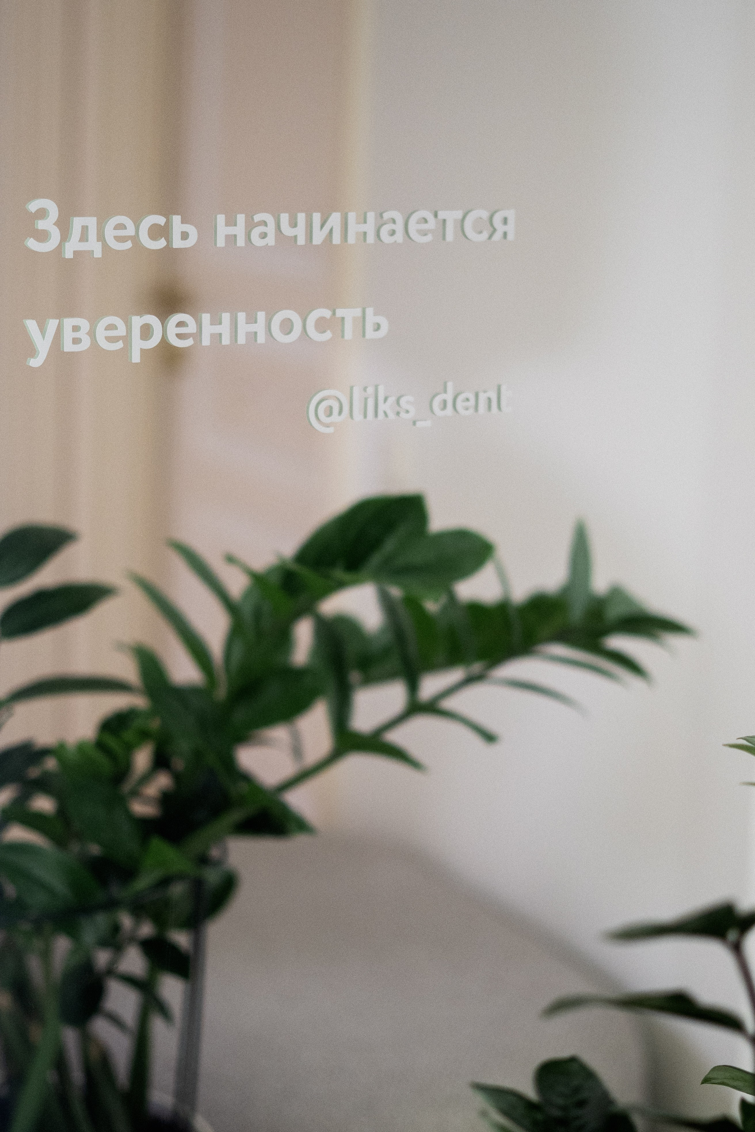 Стоматология Ликс. Свадебный и портретный фотограф в Санкт-Петербурге Софья Каркачева