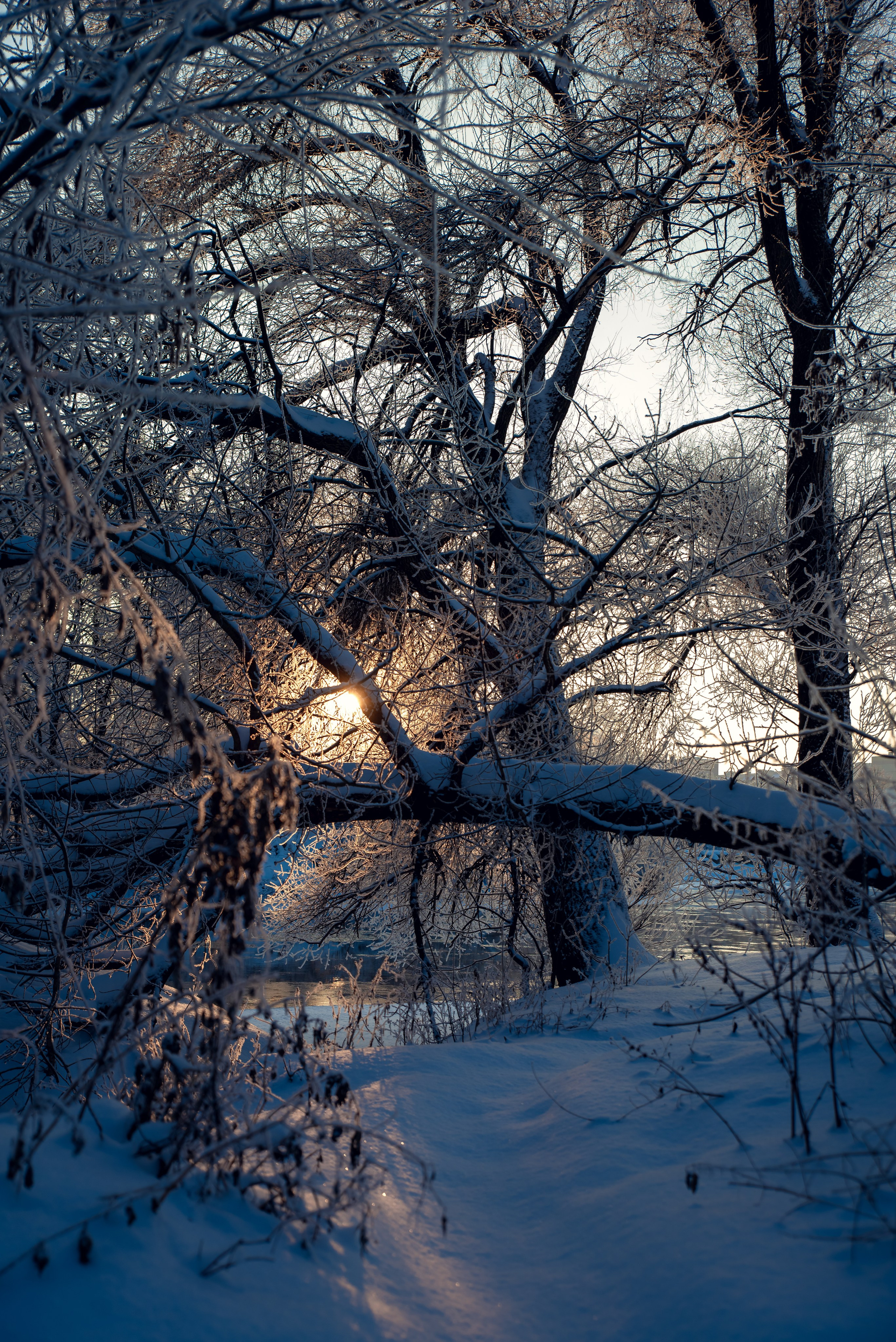 Зимушка зима. Фотограф Крещение Венчание Москва