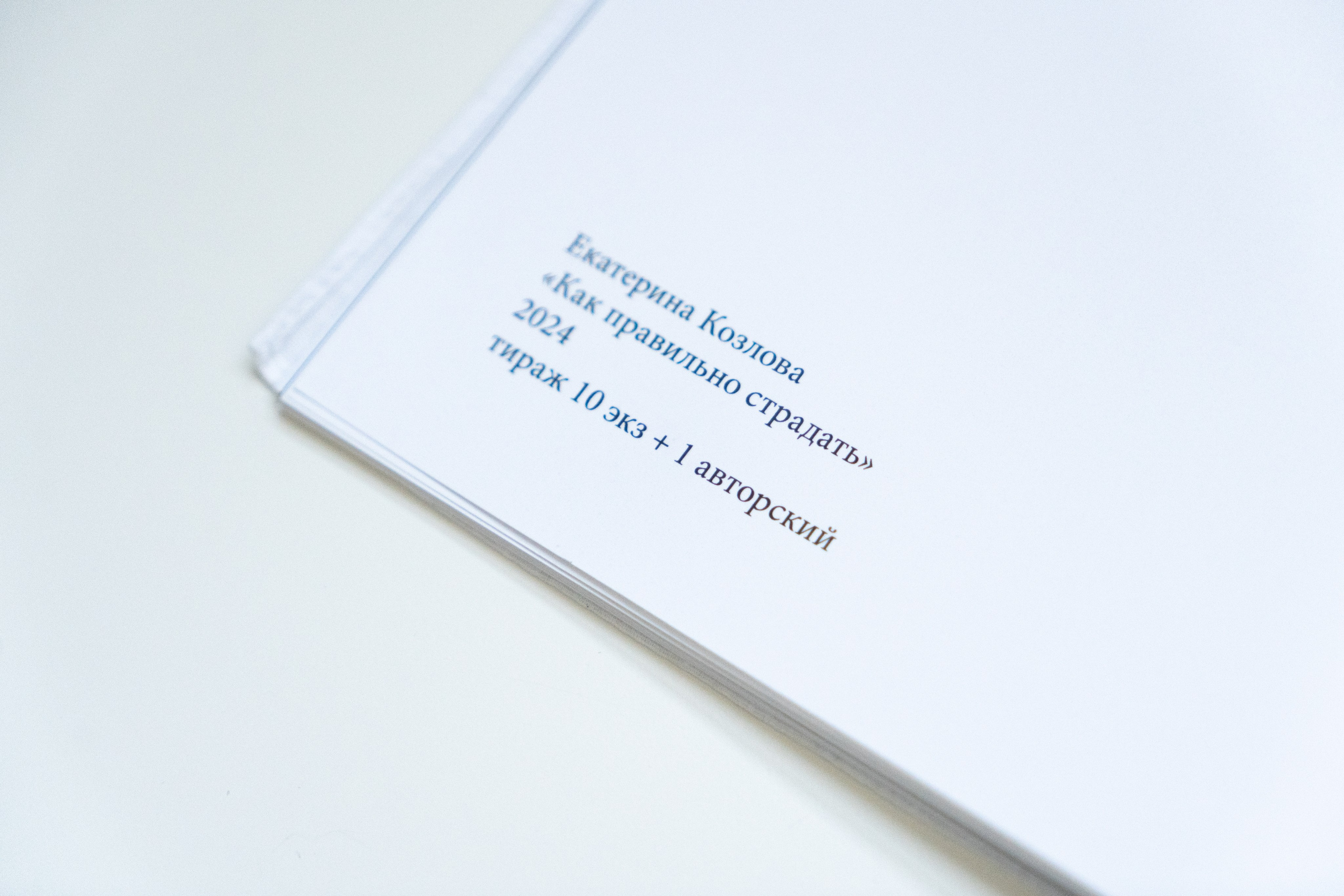 Зин «Как правильно страдать». Козлова Екатерина. Междисциплинарная визуальная художница