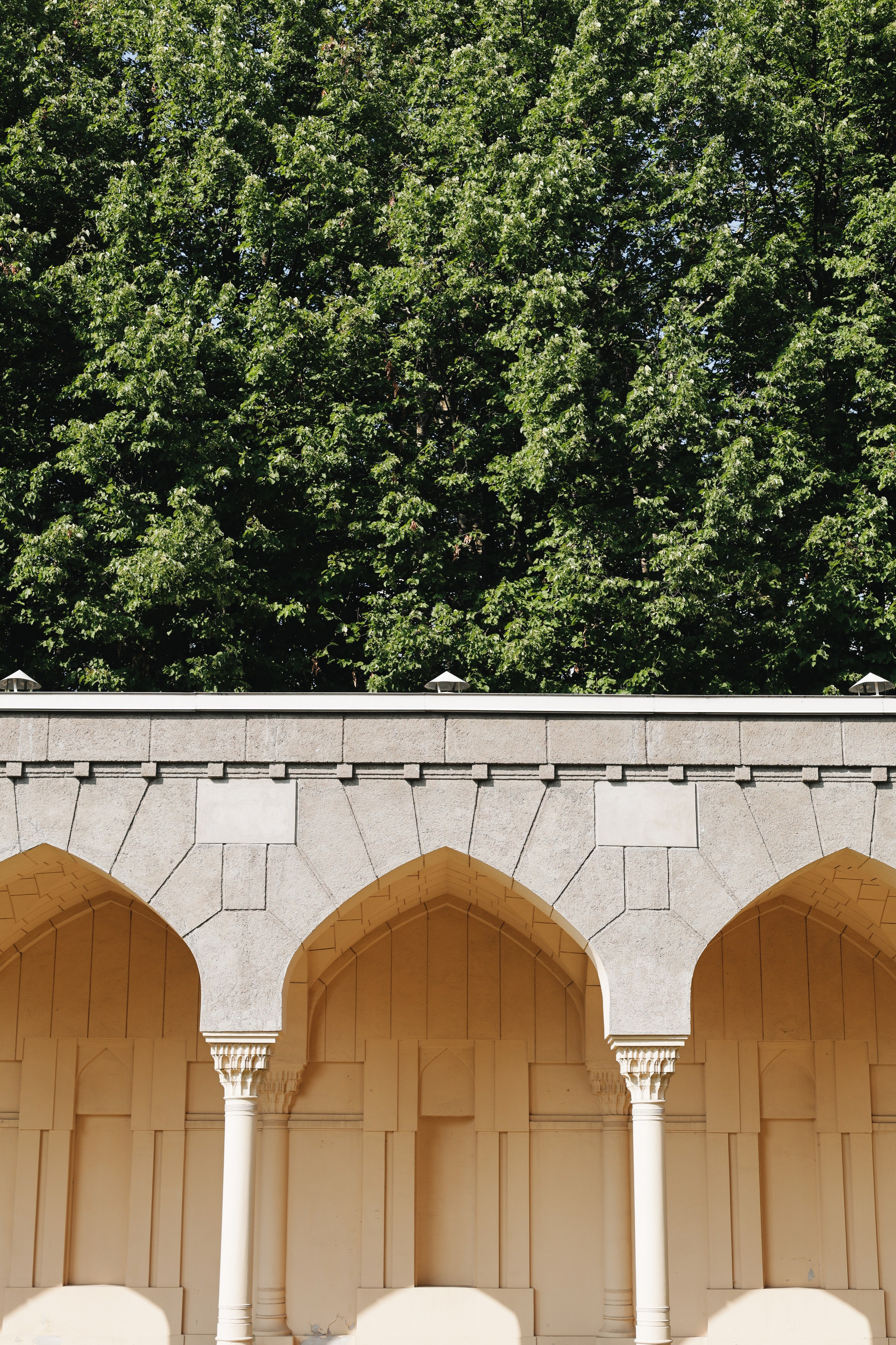 Экскурсии Агутэр Бэтэр. Света Голобородько, фудфотограф в Санкт-Петербурге