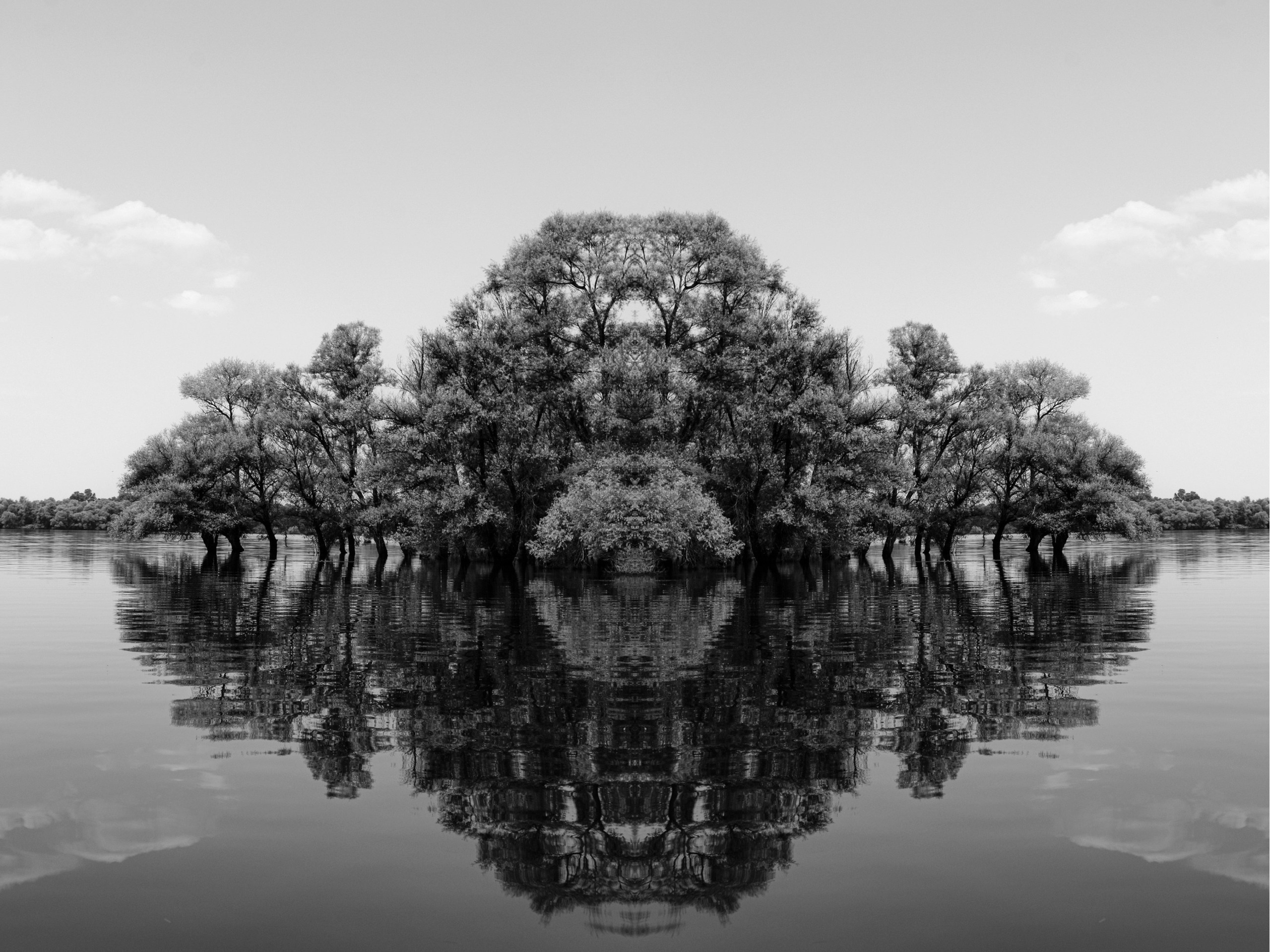 MONOCHROME | NATURE. Любовь Моргасова [LU SPRING]: Фотограф и куратор