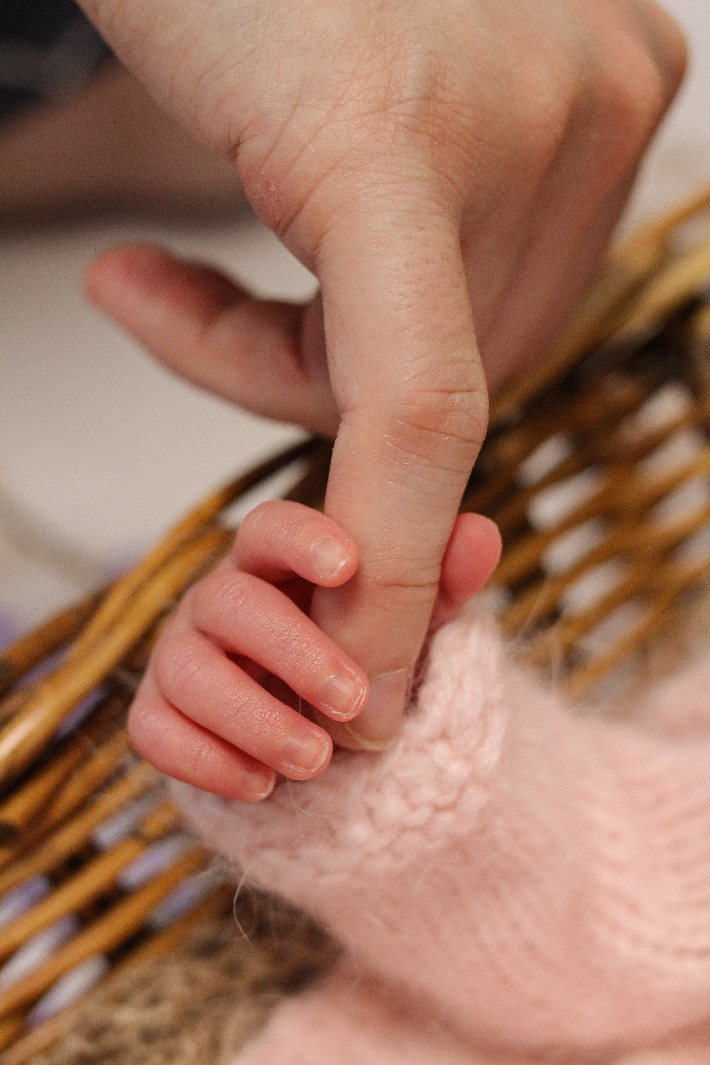 Фотограф новорожденных в Москве Елена Михеева