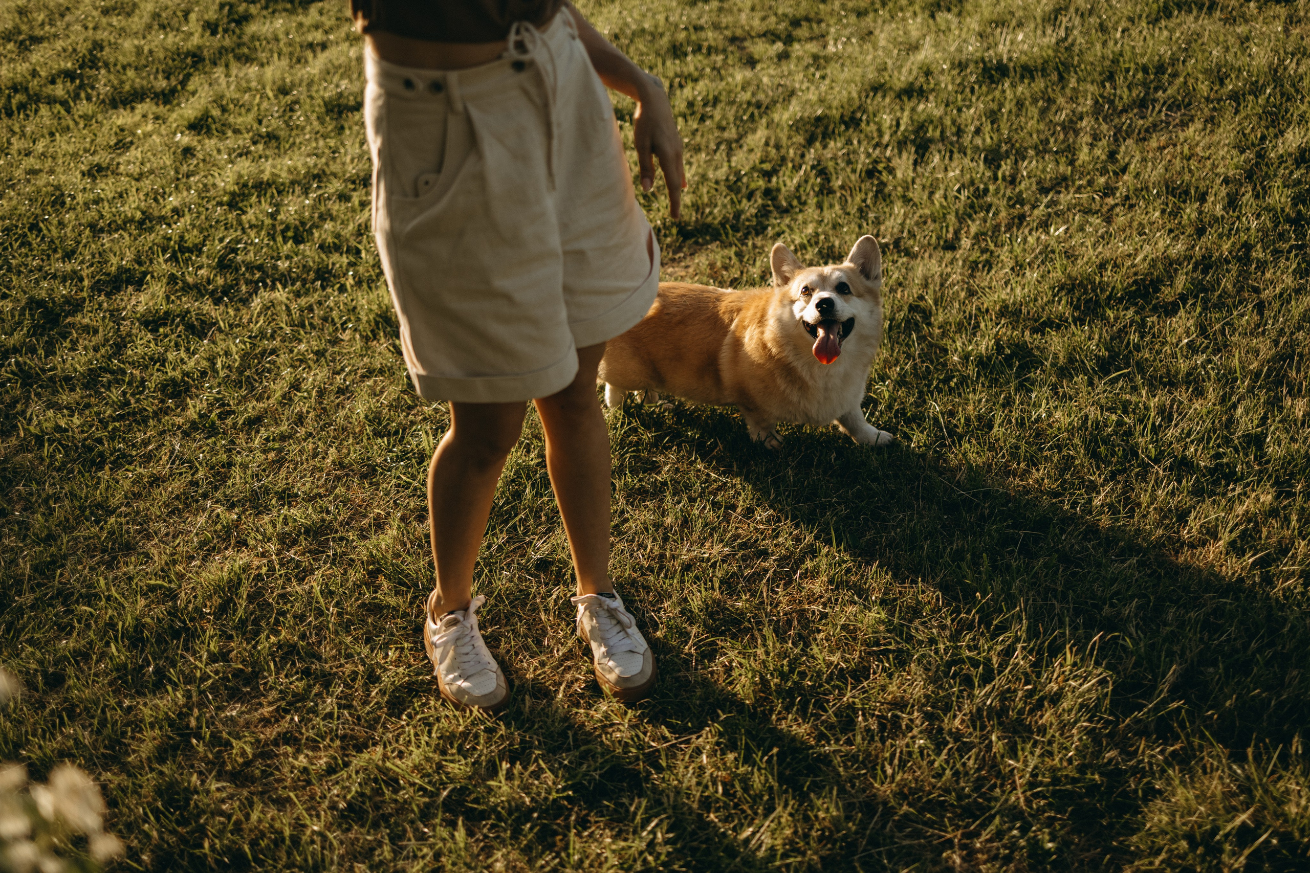 Кристина и Шелби. Фотограф — Анималист | Санкт-Петербург