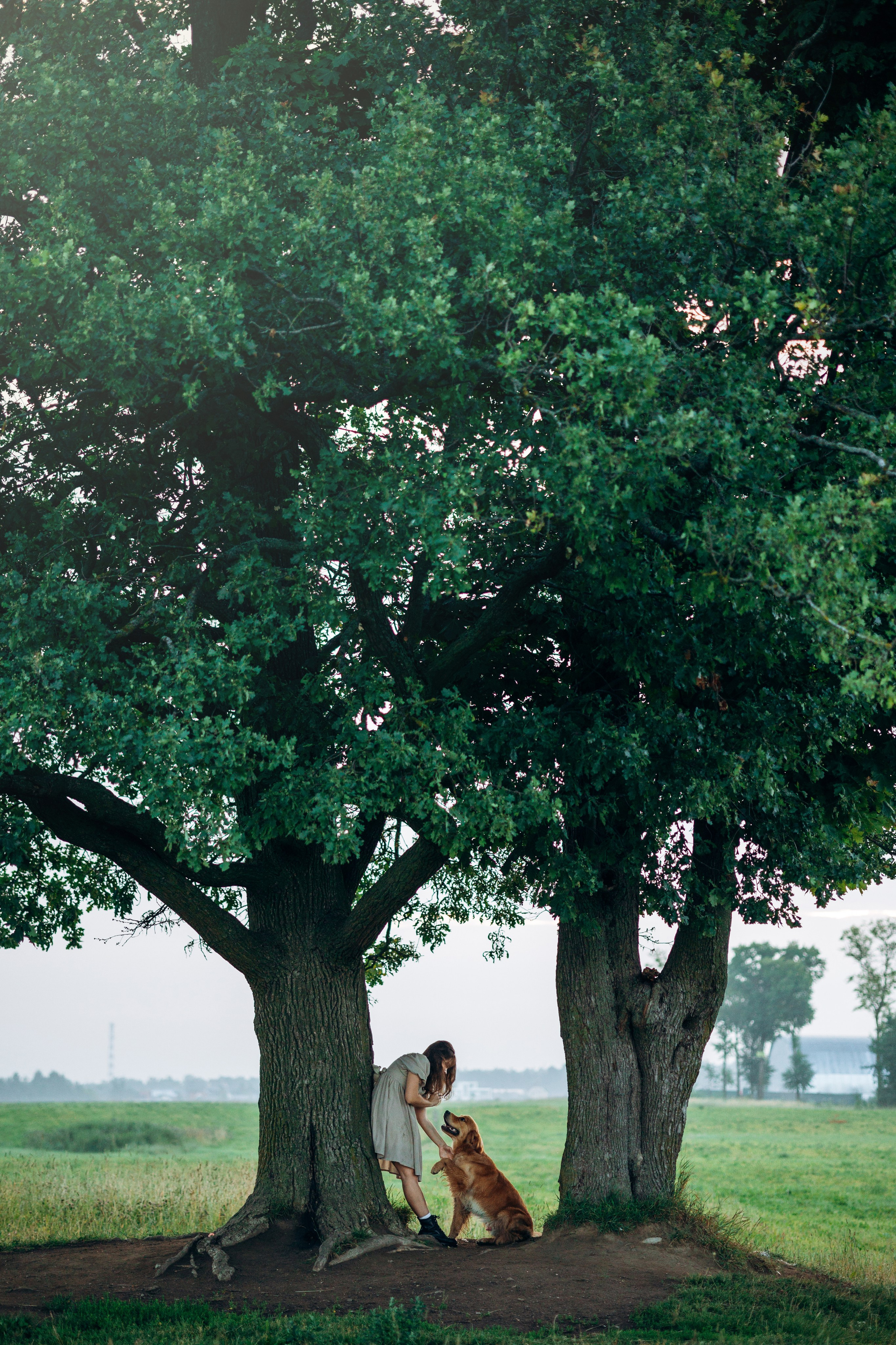Аня и Ноллан. Фотограф — Анималист | Санкт-Петербург