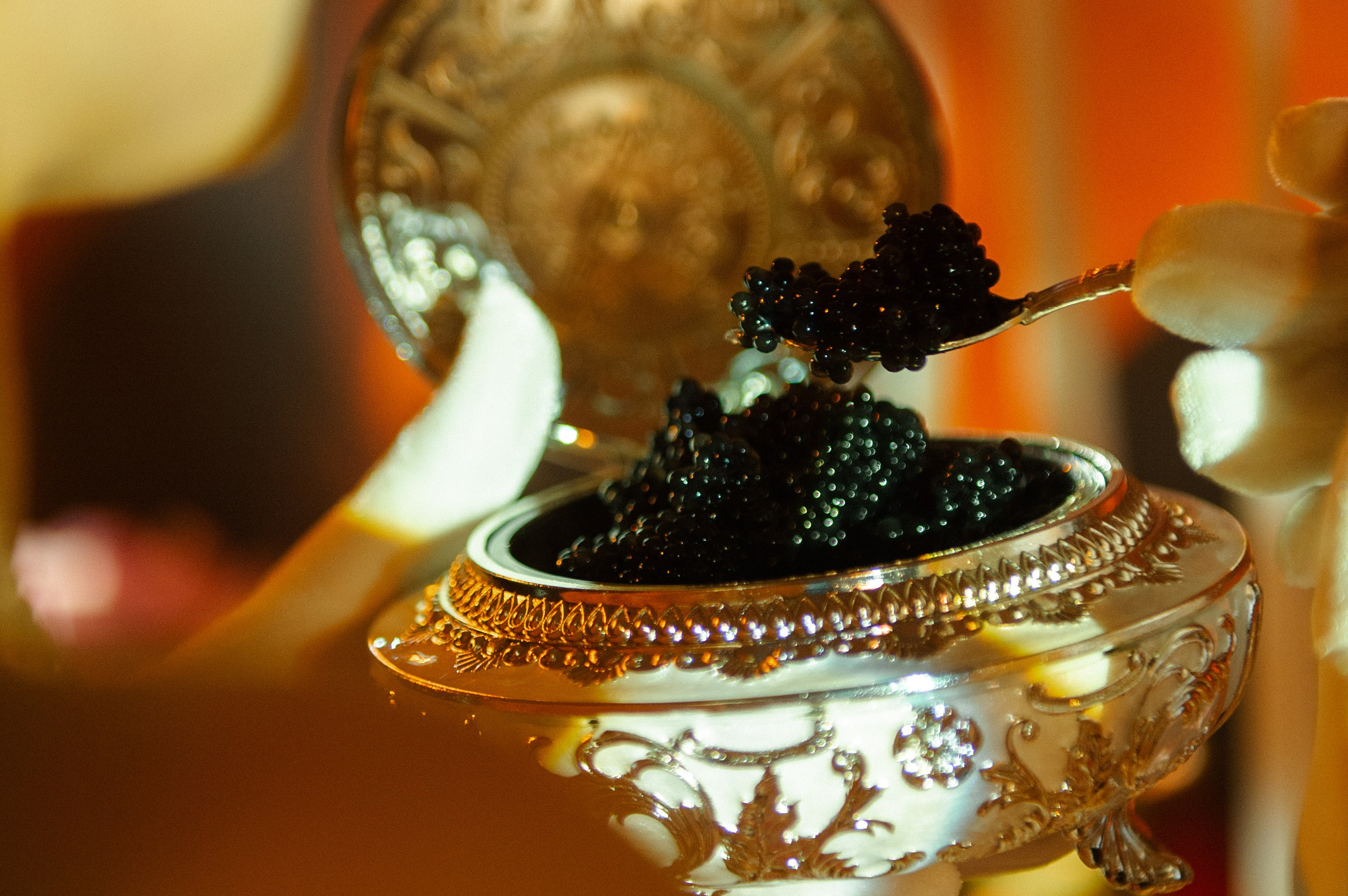 Favoritki Ekaterini. Свадебный и репортажный фотограф Сергей Чесноков