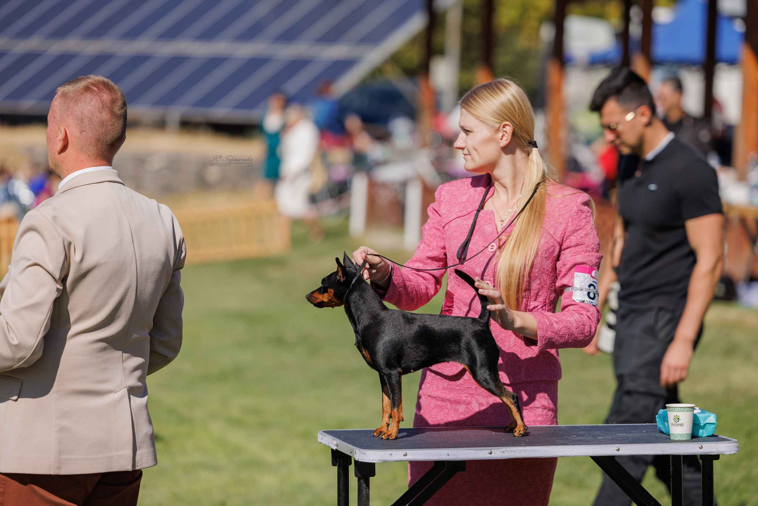 Ереван 14-16.10.2025. Фотограф-анималист Юлия Германика