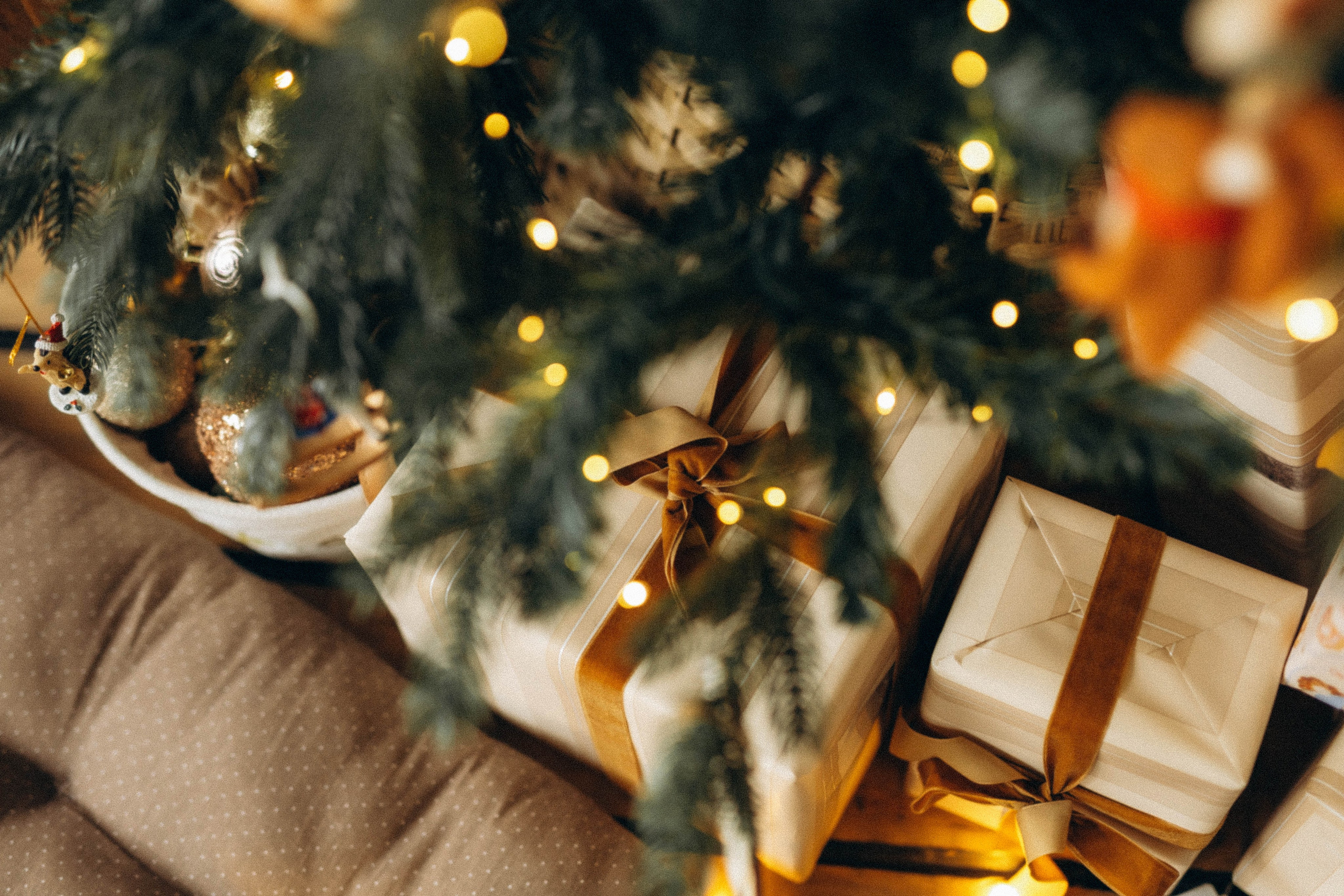 Семейная Новогодняя. Katerina Schastlivaya