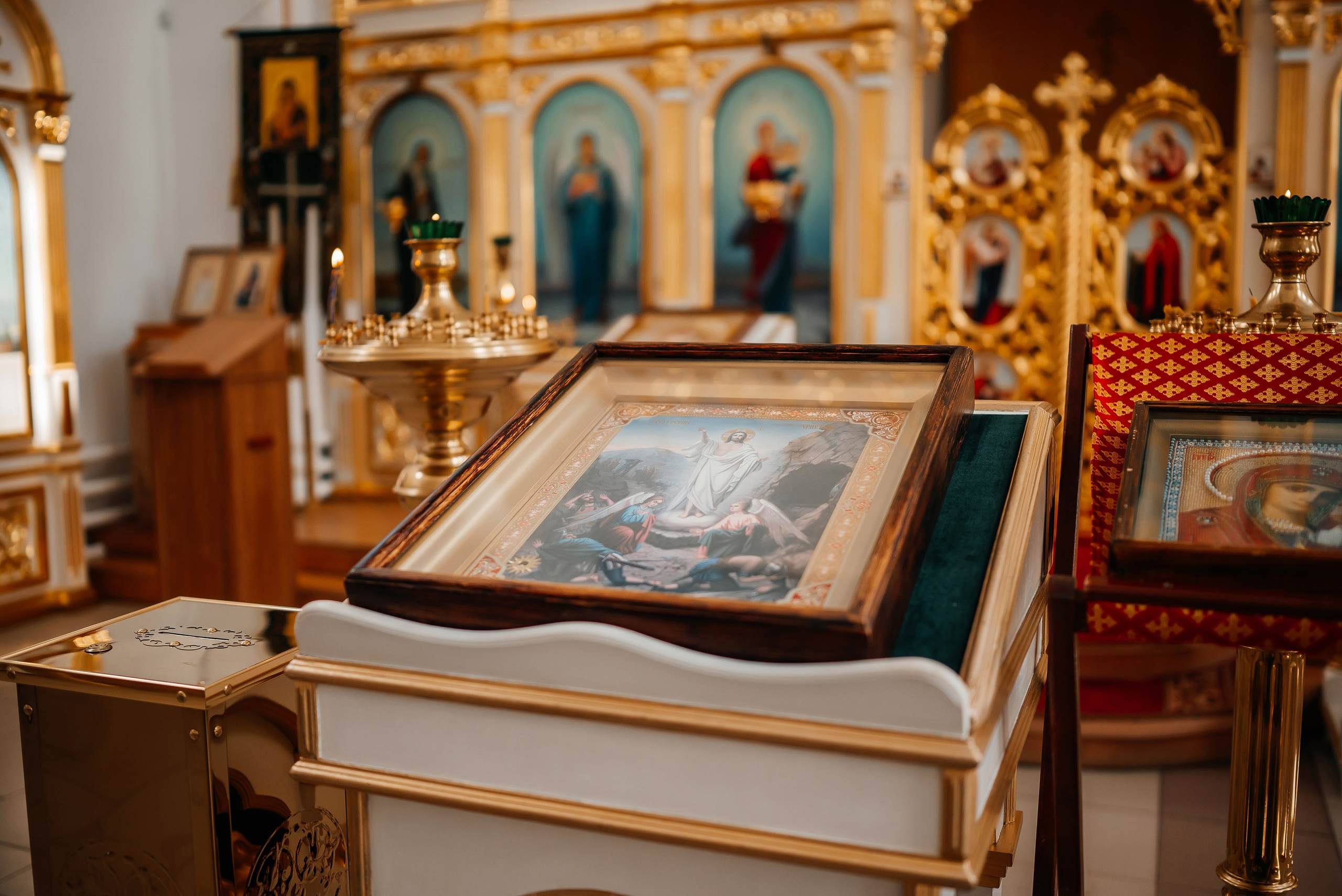 Матвей. Свадебный и семейный фотограф Нина Полеско