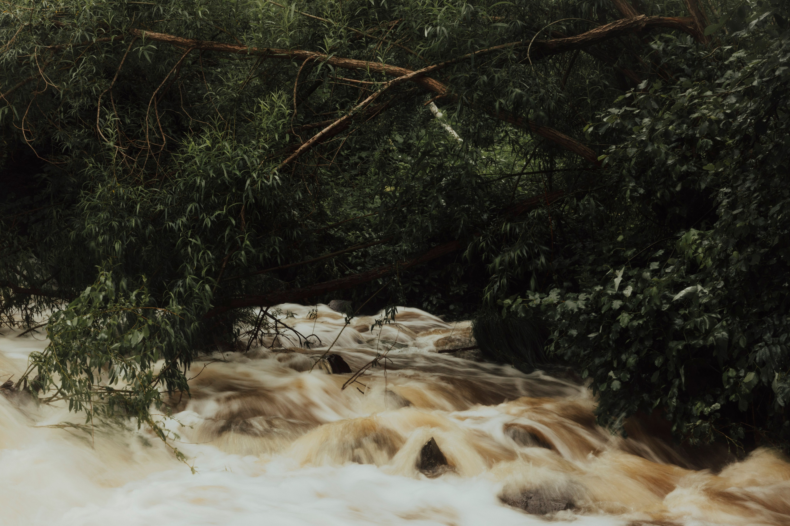 TWO ELEMENTS. Wedding videographer in Europe and Russia Ilya Novikov