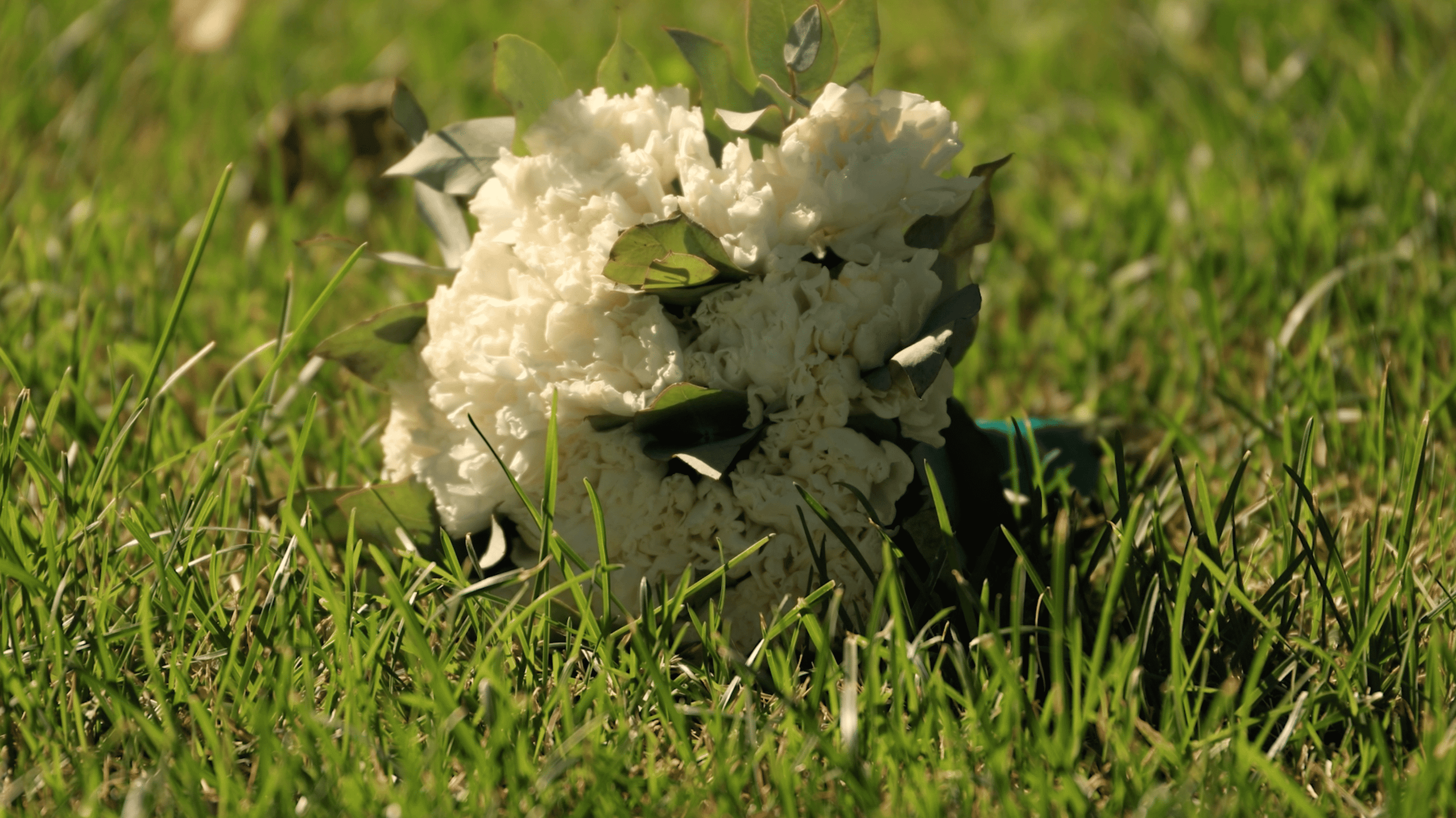 Свадебный видеограф AlexFilms в Воронеже и по всей России