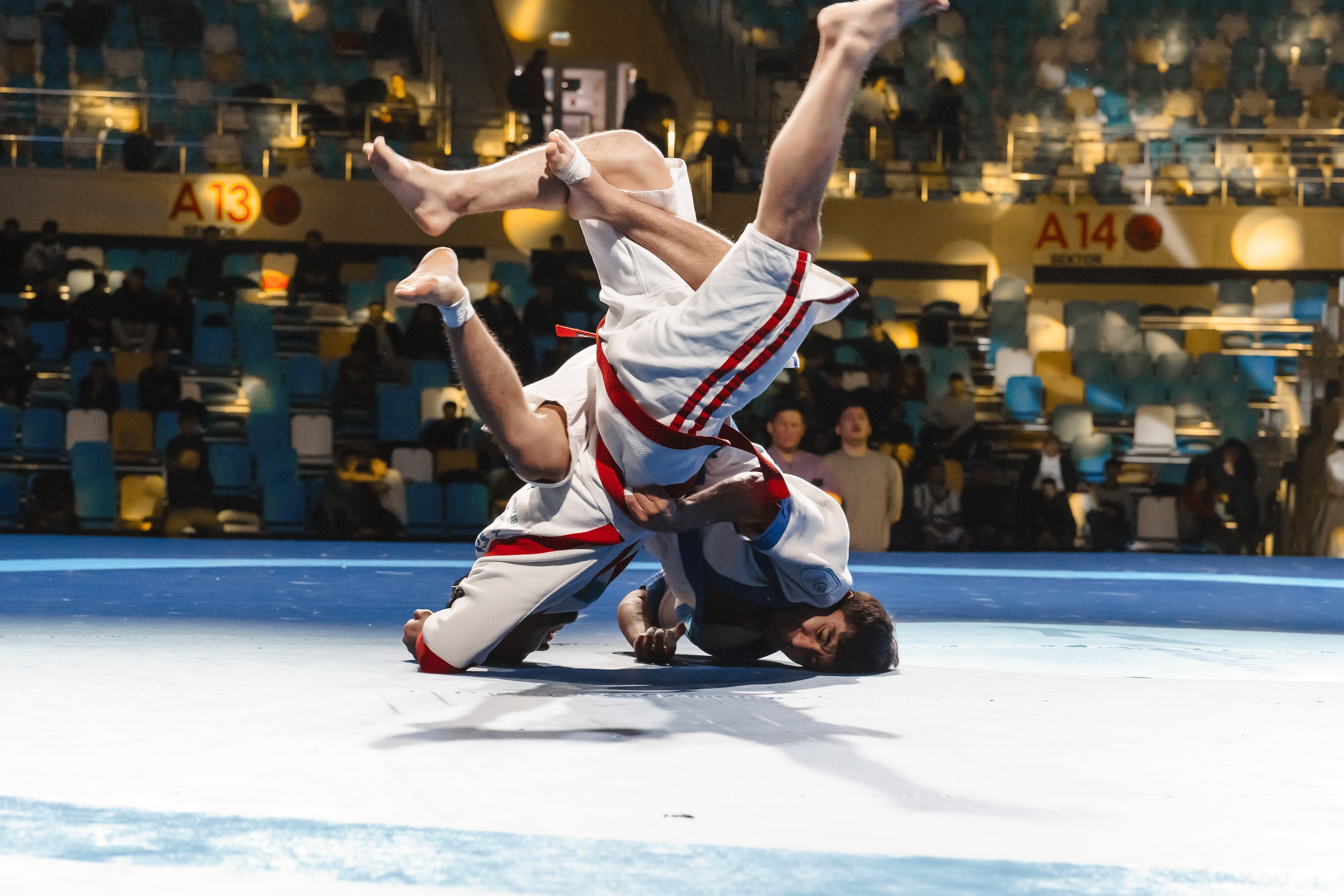 Qazaq Kuresi 2023. Профессиональный фотограф в городе Астана Копанев Данил