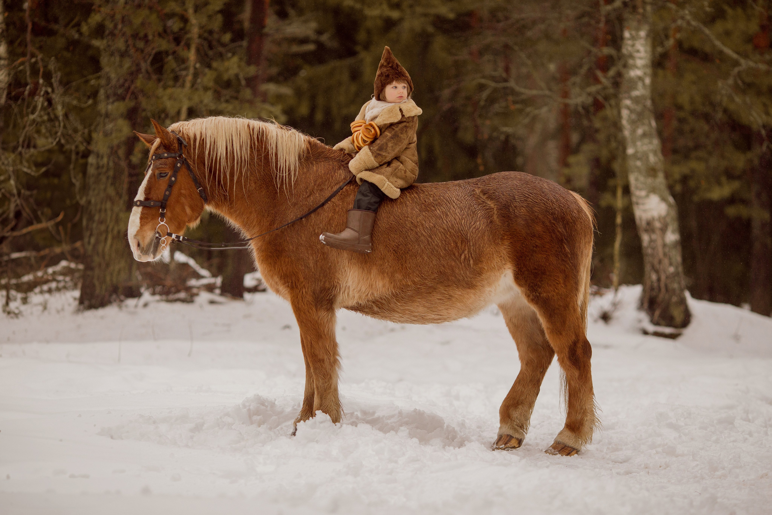 Фото мальчика и лошади зимой
